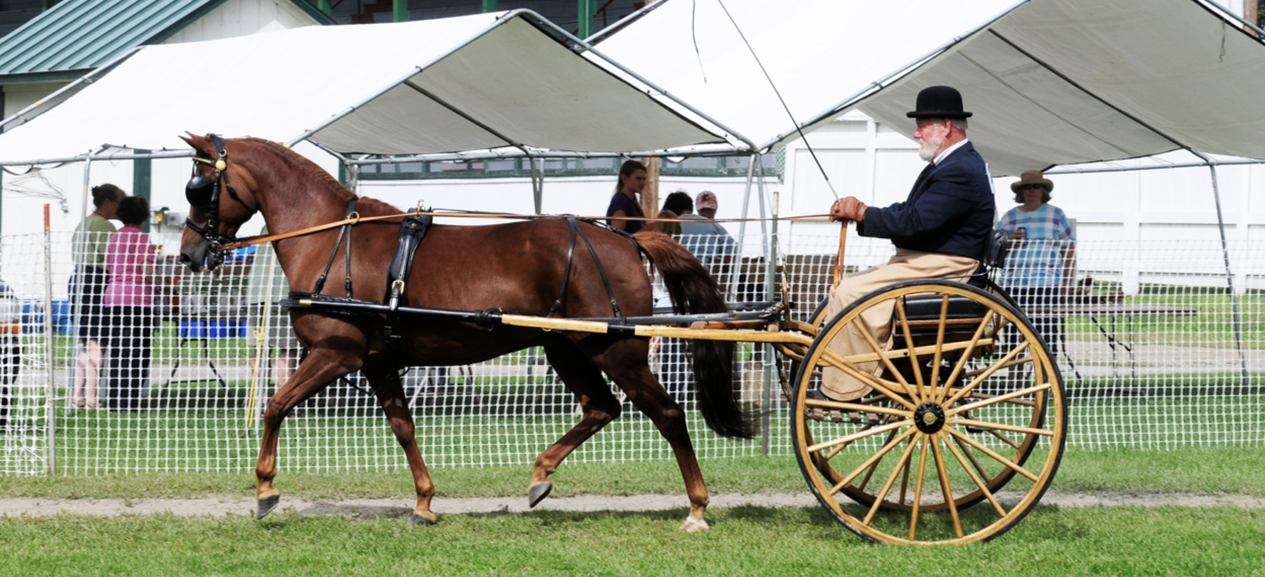 A man in a dark jacket, light-colored pants, and a black hat sitting in a wooden horse-drawn carriage, being pulled by a brown horse. Behind a white fence, there are onlookers watching the scene under a large tent.