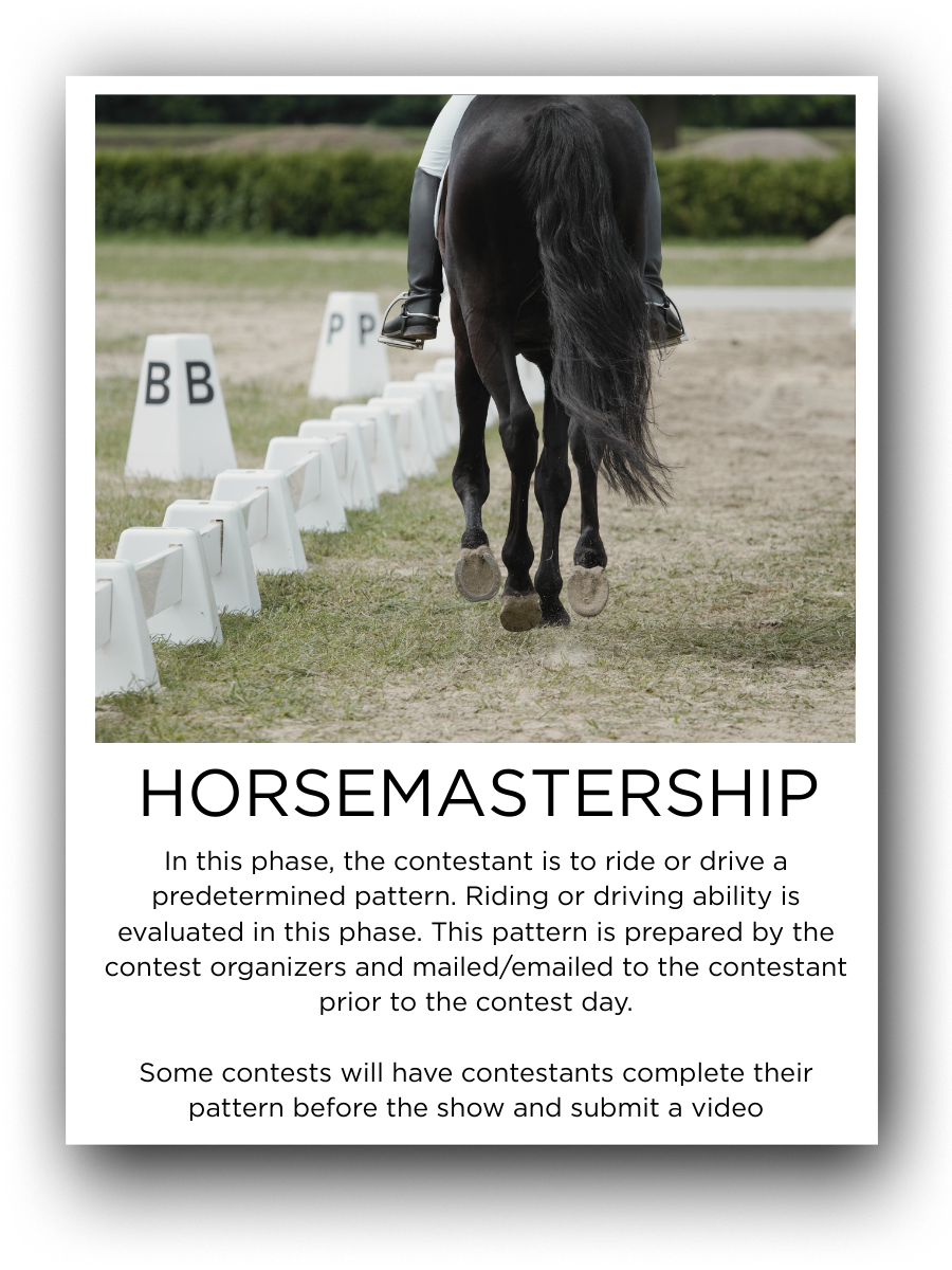 A person riding a black horse on a dressage or riding pattern area. The horse is walking away from the camera with a judge's marking or signage visible nearby.