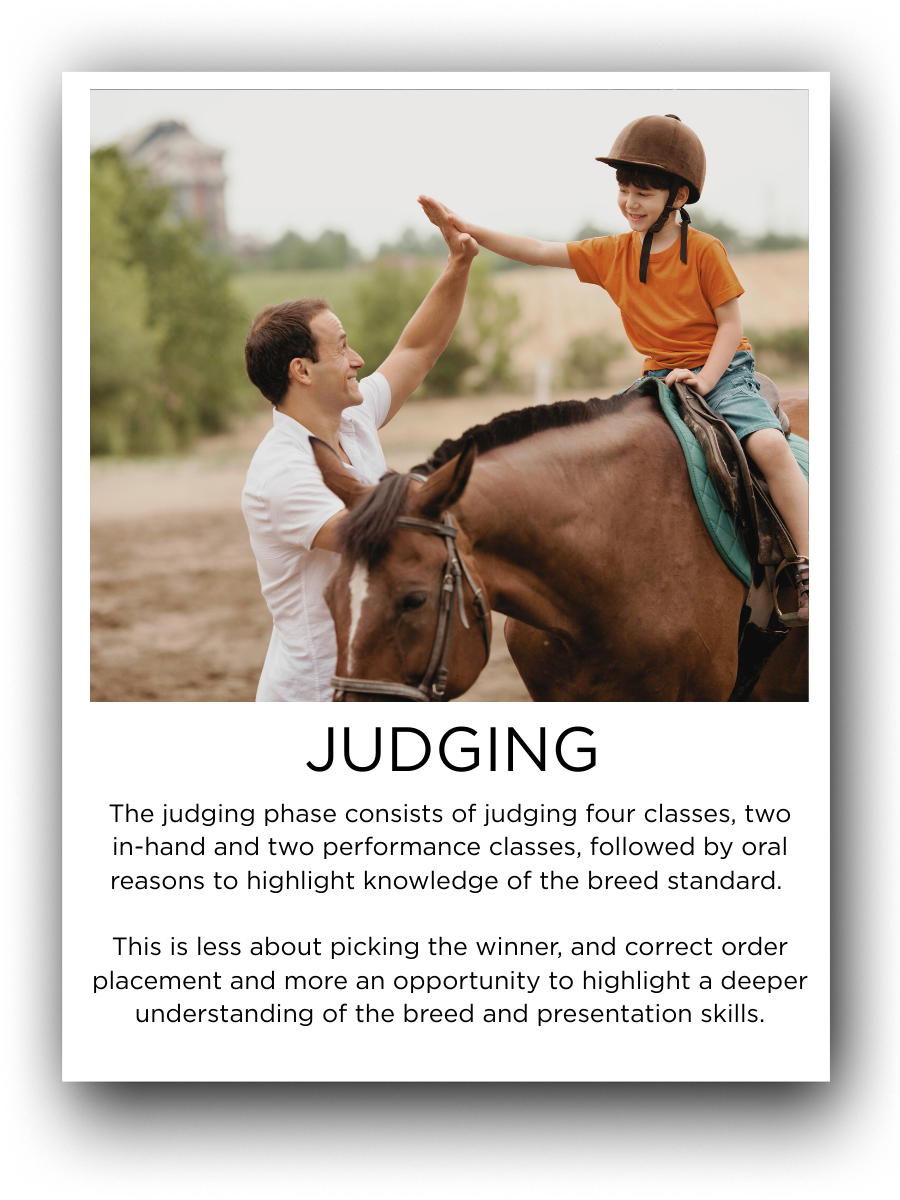 A boy wearing an orange shirt and riding a brown horse, giving a high five to a man standing beside the horse, with a blurred outdoor background.