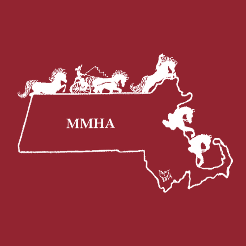 A man with curly dark hair, glasses, and a beard looks off to the side in a well-lit room with a plant and neutral-colored background.