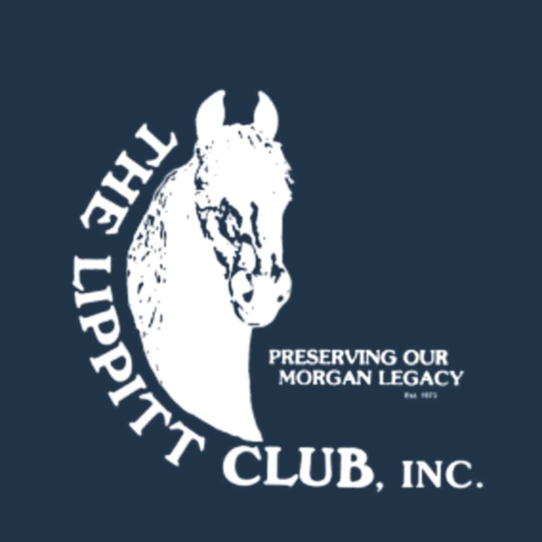 Logo of the Little Eppit Club featuring a white horse head illustration on a dark blue background with the text "Preserving Our Morgan Legacy" and "Little Eppit Club, Inc."