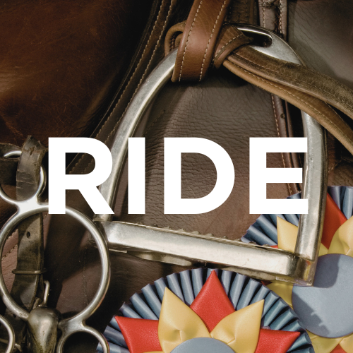The Rider Experience