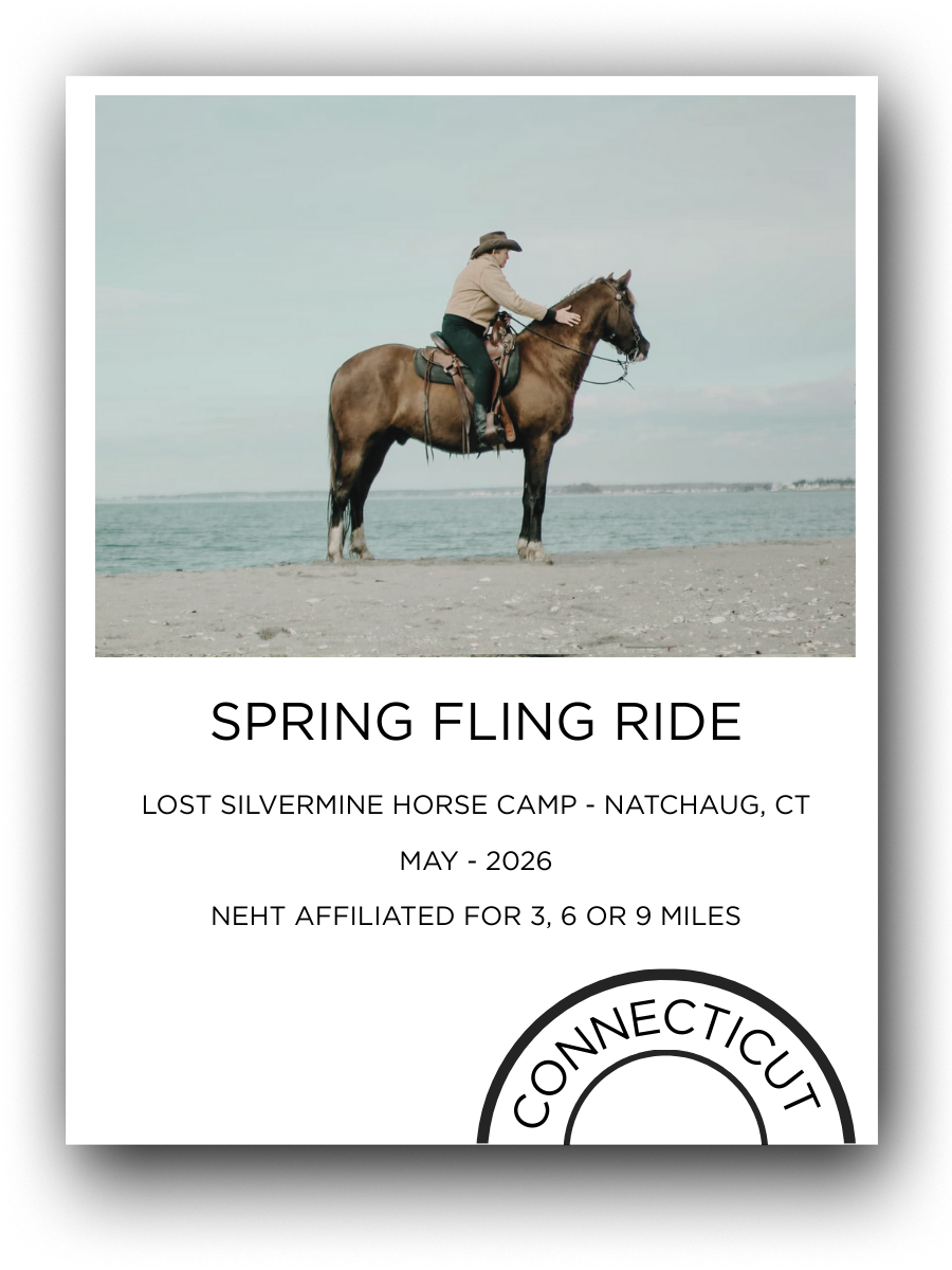 A person riding a horse on a beach with water and cloudy sky in the background, promoting the Spring Fling Ride event in Connecticut.
