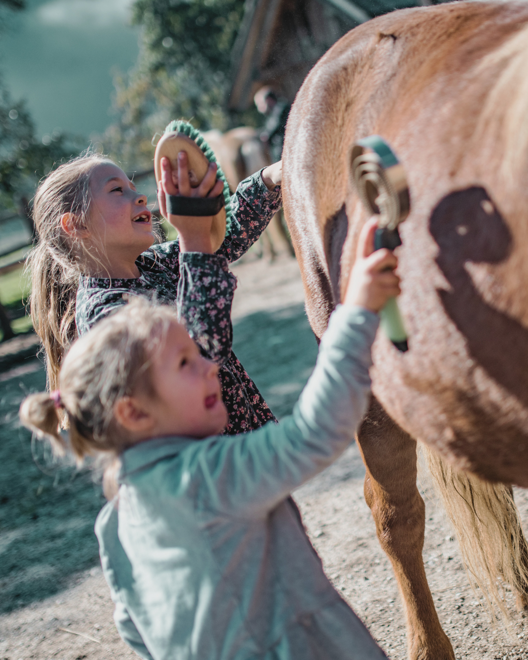 Two young girls grooming a large brown horse with a brush and curry comb outdoors.