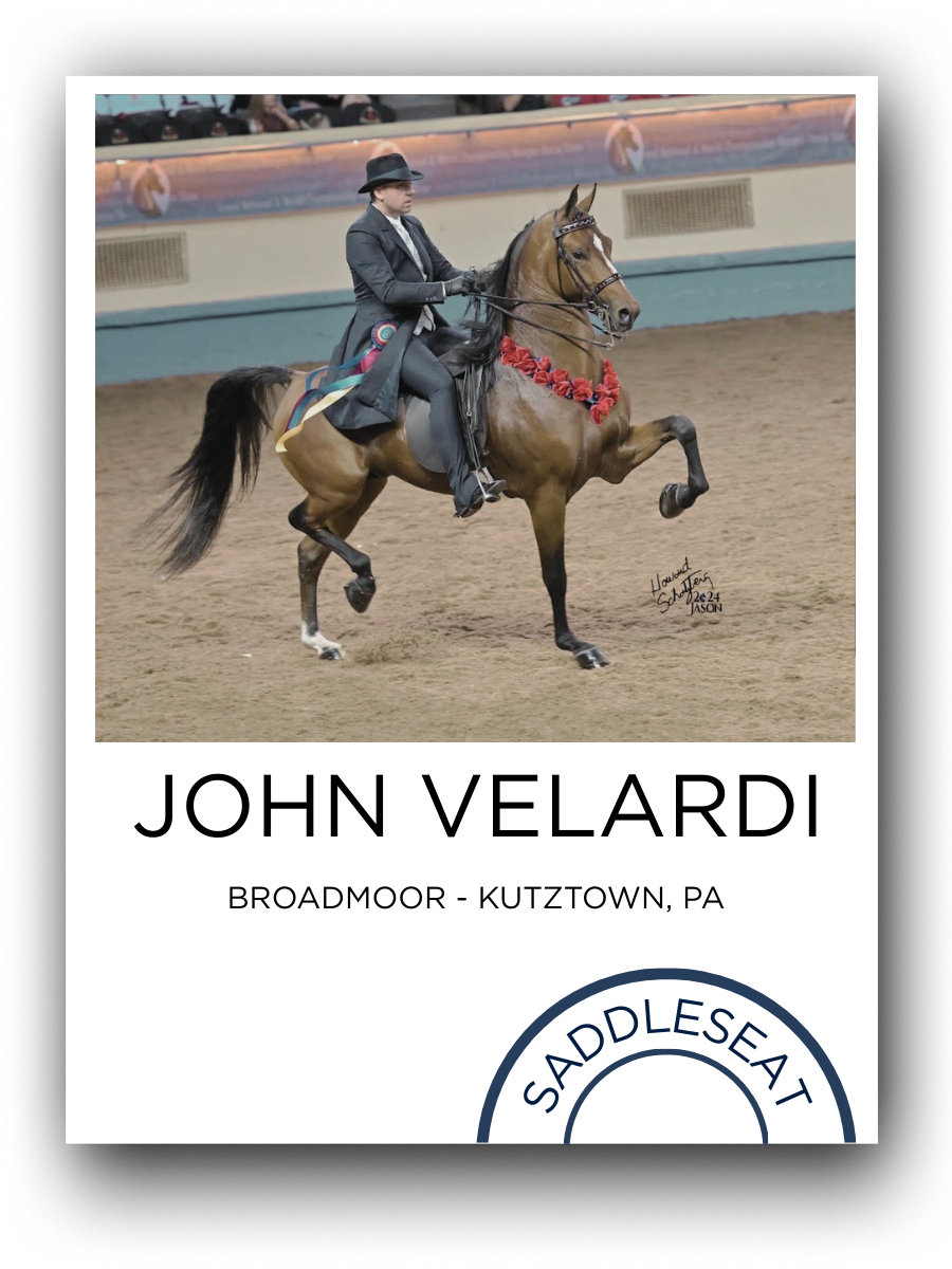 A woman riding a horse in an indoor riding arena, wearing formal attire and a black hat, with a red floral garland around the horse's neck.