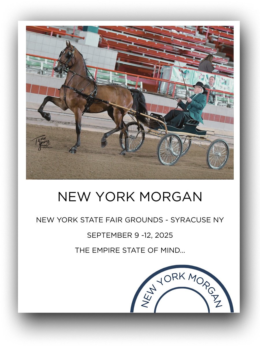 A horse in a harness pulling a sulky with a person dressed in vintage riding attire, on a dirt track at the New York State Fairgrounds.