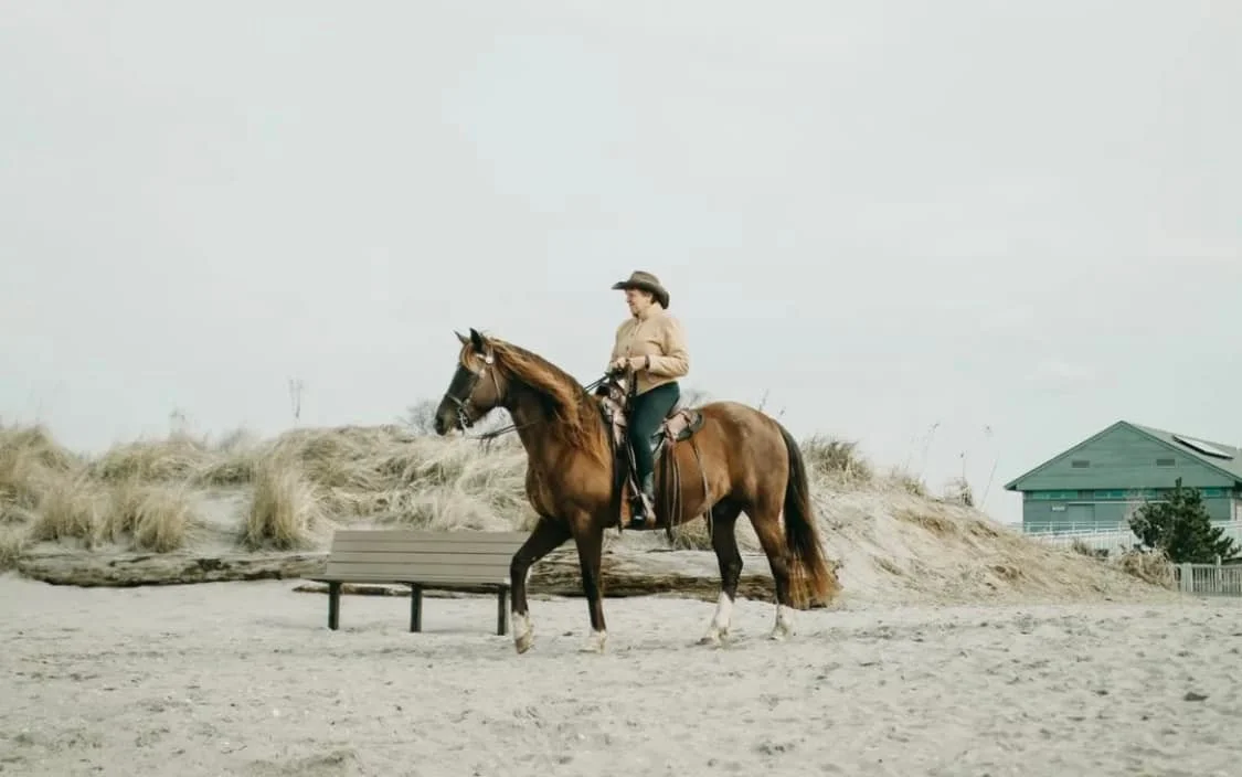 Person riding a brown horse on a beach with sand dunes and a house in the background.