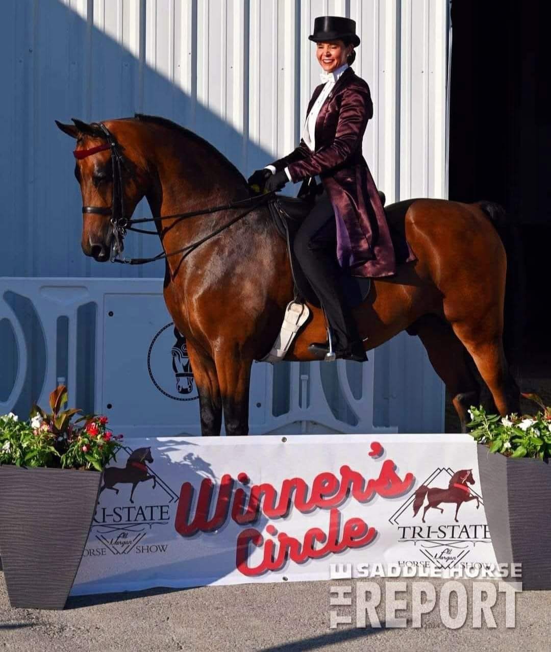 A woman in formal riding attire, including a top hat, sits atop a brown horse at an equestrian event, with a sign reading 'Winners Circle' and sponsor logos.