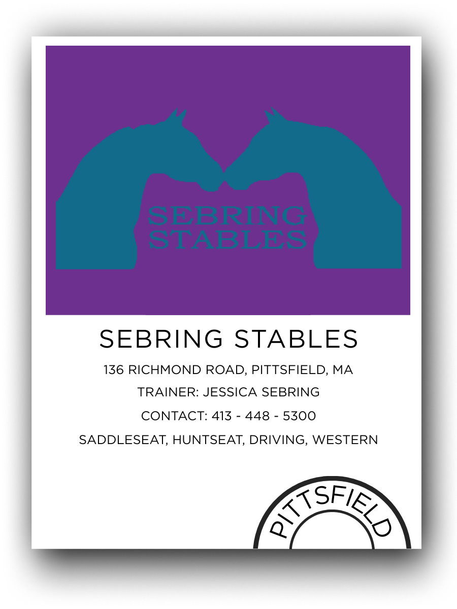 Business card for Sebring Stables featuring a purple background with a teal graphic of two horses's heads touching, and contact information in black text.