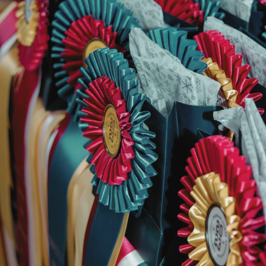 Close-up of colorful award ribbons with rosette centers, displayed on shelves, some with decorative paper.