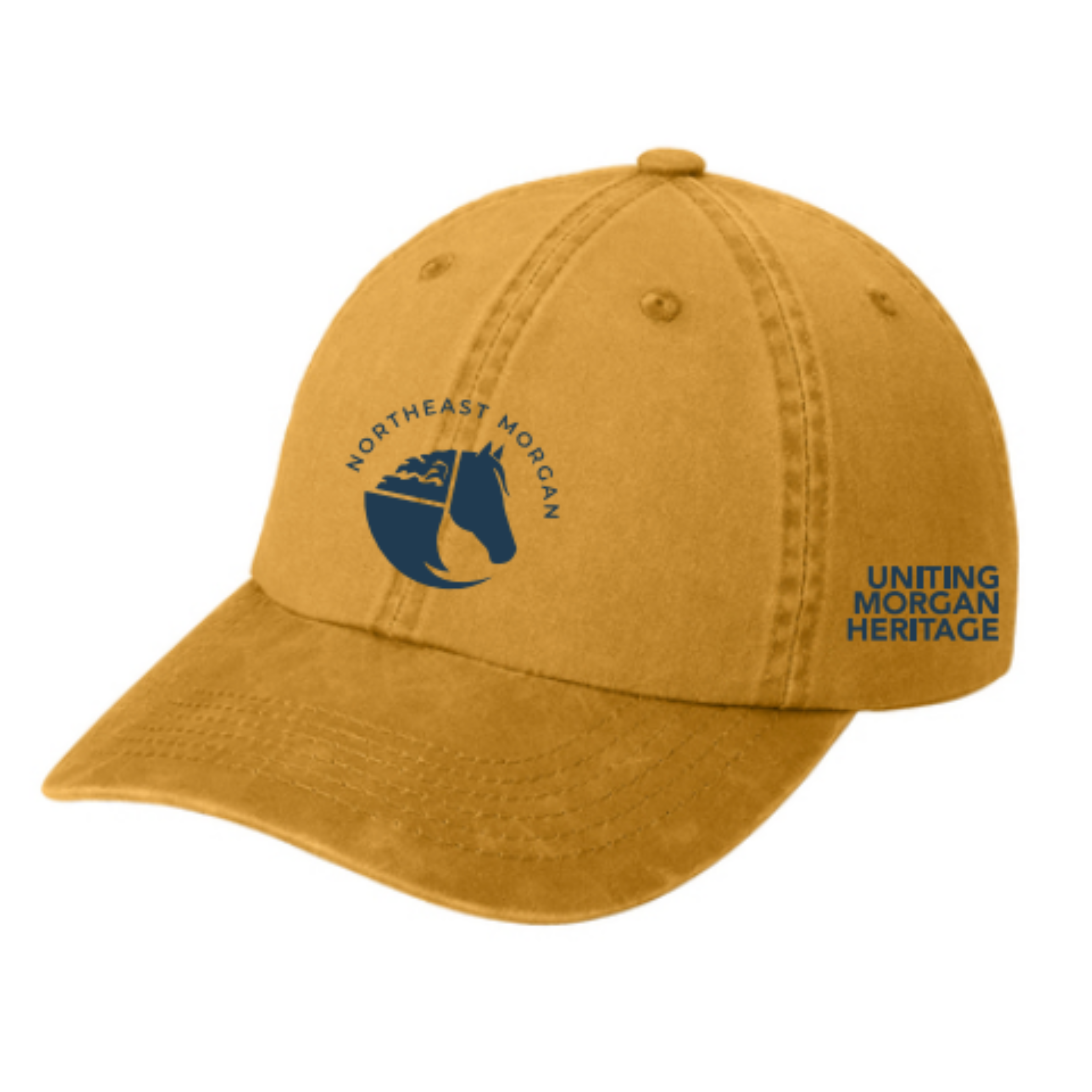 Heritage Dad Cap