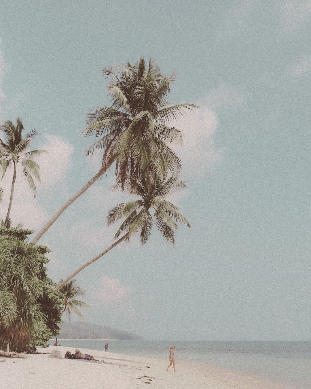 Beach scene with tall palm trees, sandy shoreline, cloudy sky, and a person walking along the beach.