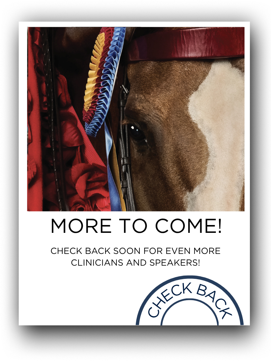 Close-up of a horse's face with a brown and white coat, wearing a red bridle and adorned with award ribbons in blue, gold, and red.