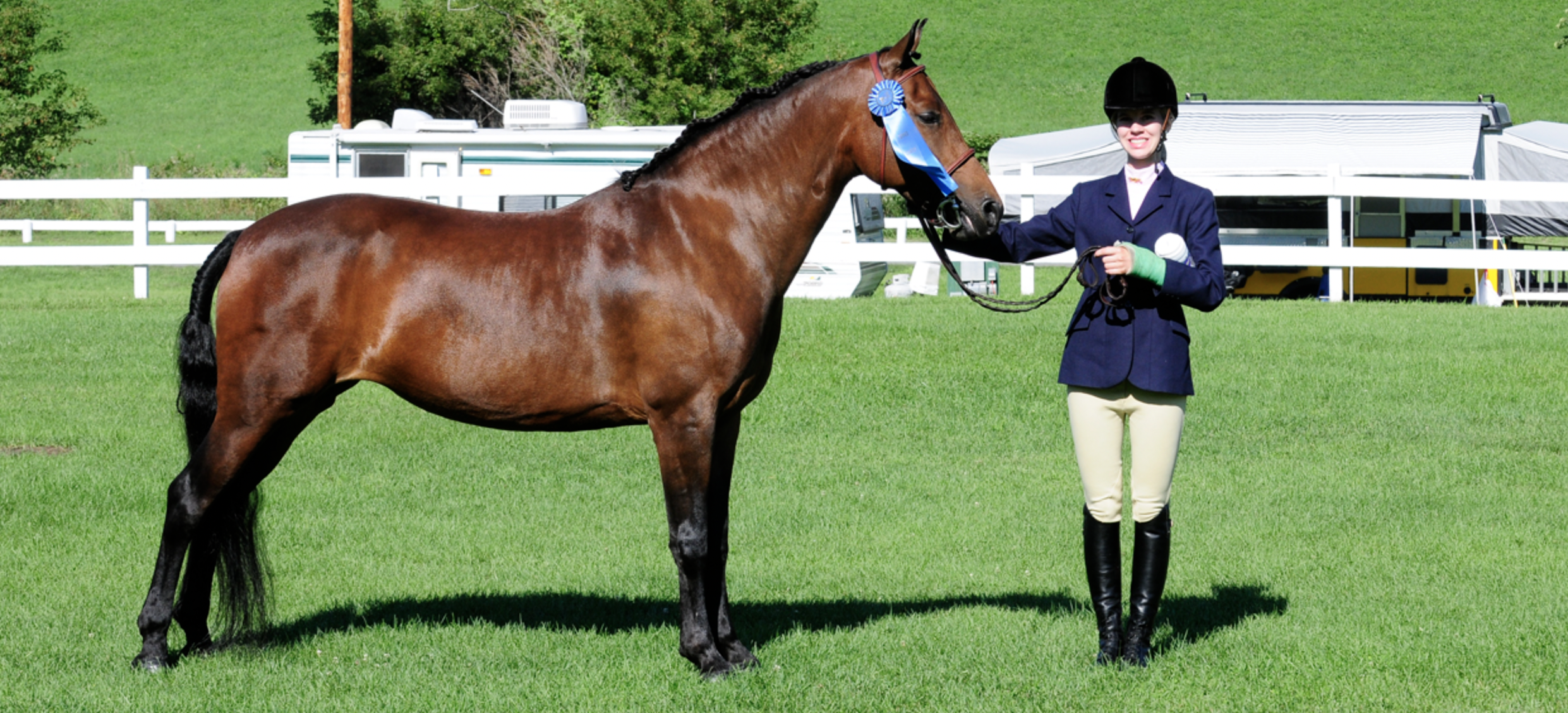 A person in equestrian attire standing next to a brown horse with a blue ribbon attached to its bridle on a grassy field.