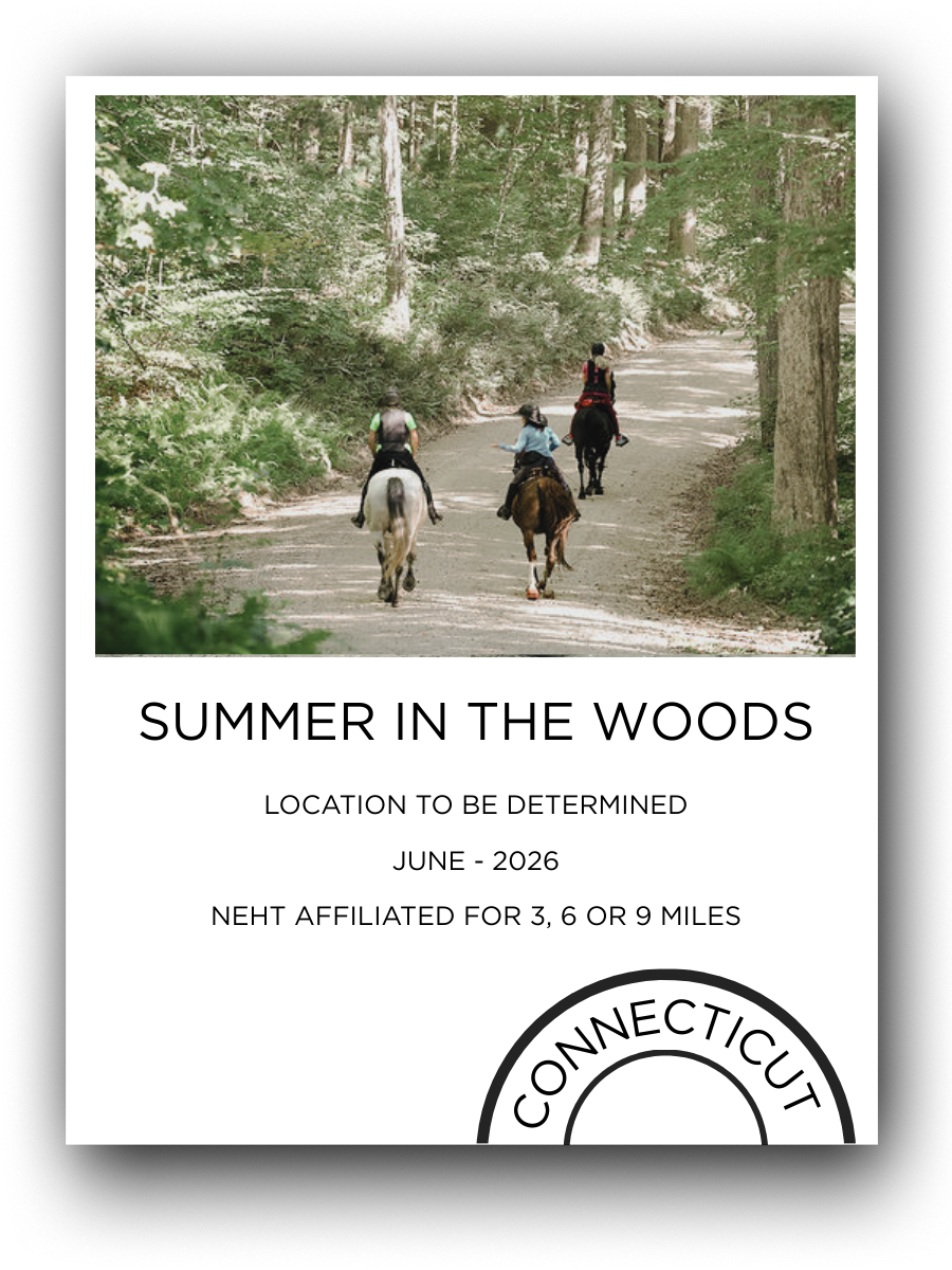 Three people riding horses on a trail through the woods during summer in Connecticut.