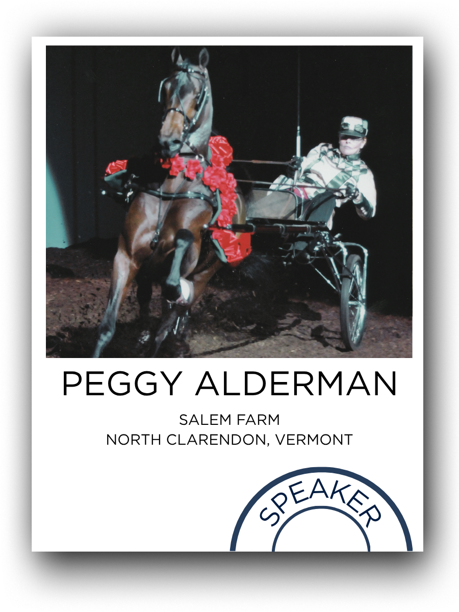 A person riding a horse-drawn carriage decorated with red flowers, wearing a helmet and outdoor attire, on a dirt track at night.