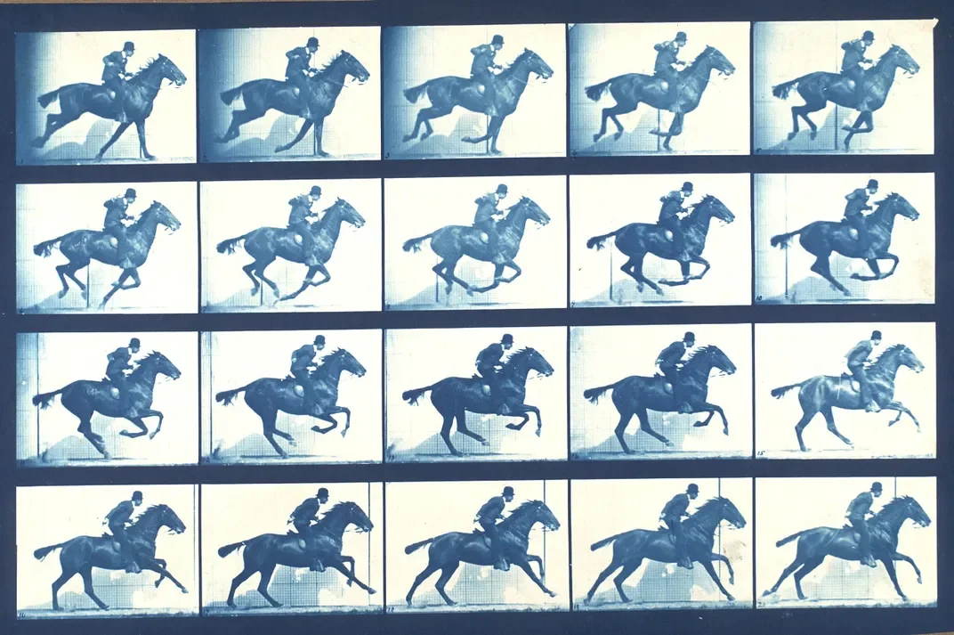 A series of 20 sequential frames showing a horse and rider jumping over an obstacle.