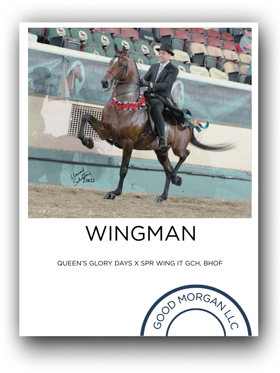 A woman riding a horse in an indoor arena, wearing a suit and hat, with a red flower garland around the horse's neck. The arena has empty spectator seats and a banner in the background.