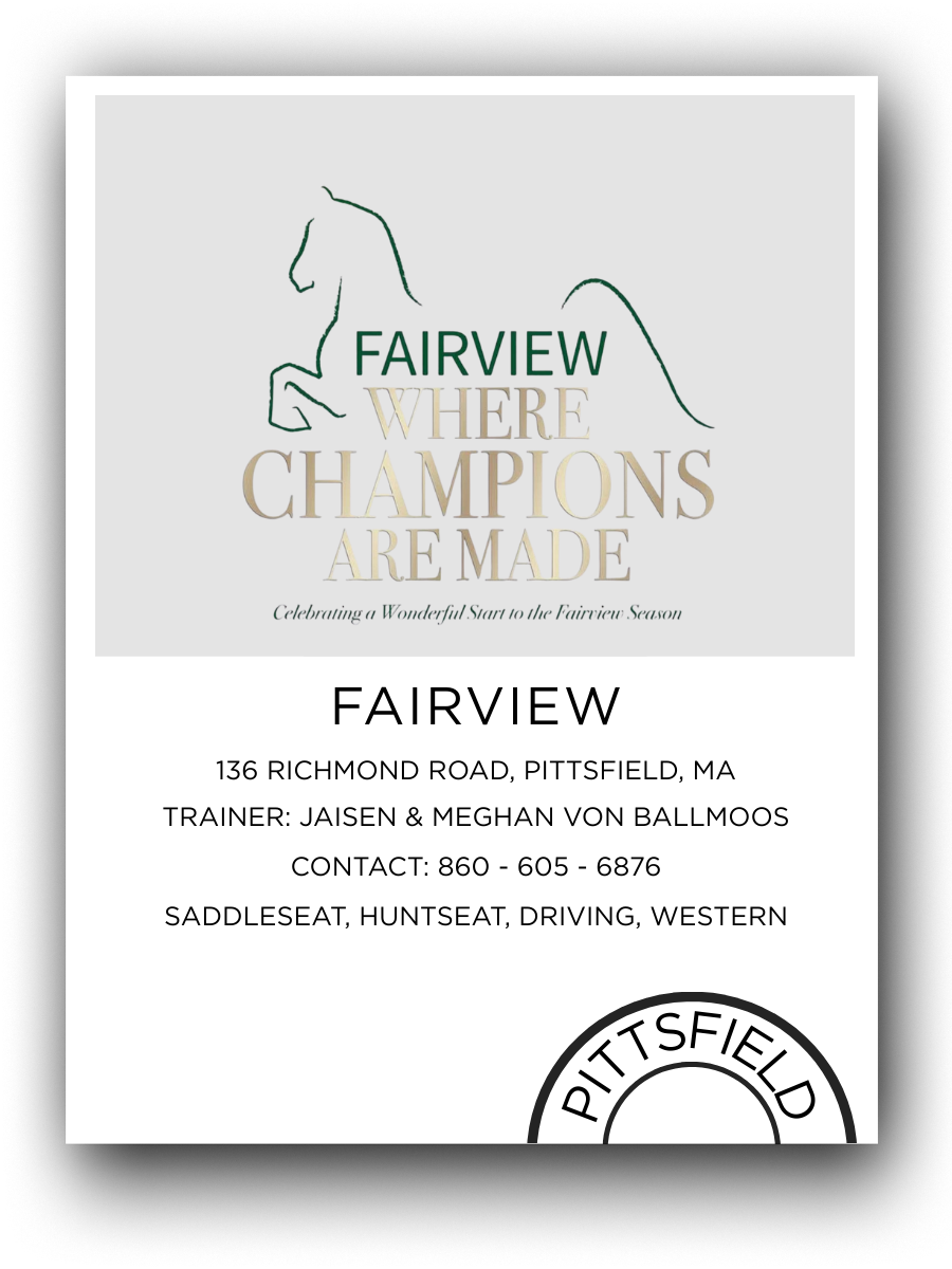 Flyer for Fairview equestrian facility with a drawing of a horse's head and neck, and text promoting horse riding lessons and season start.