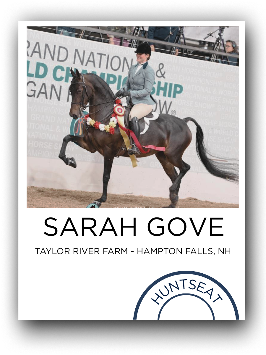 A female rider on a dark brown horse at a horse show, with a large ribbon on the horse's bridle, in an indoor arena with spectators and cameras in the background.