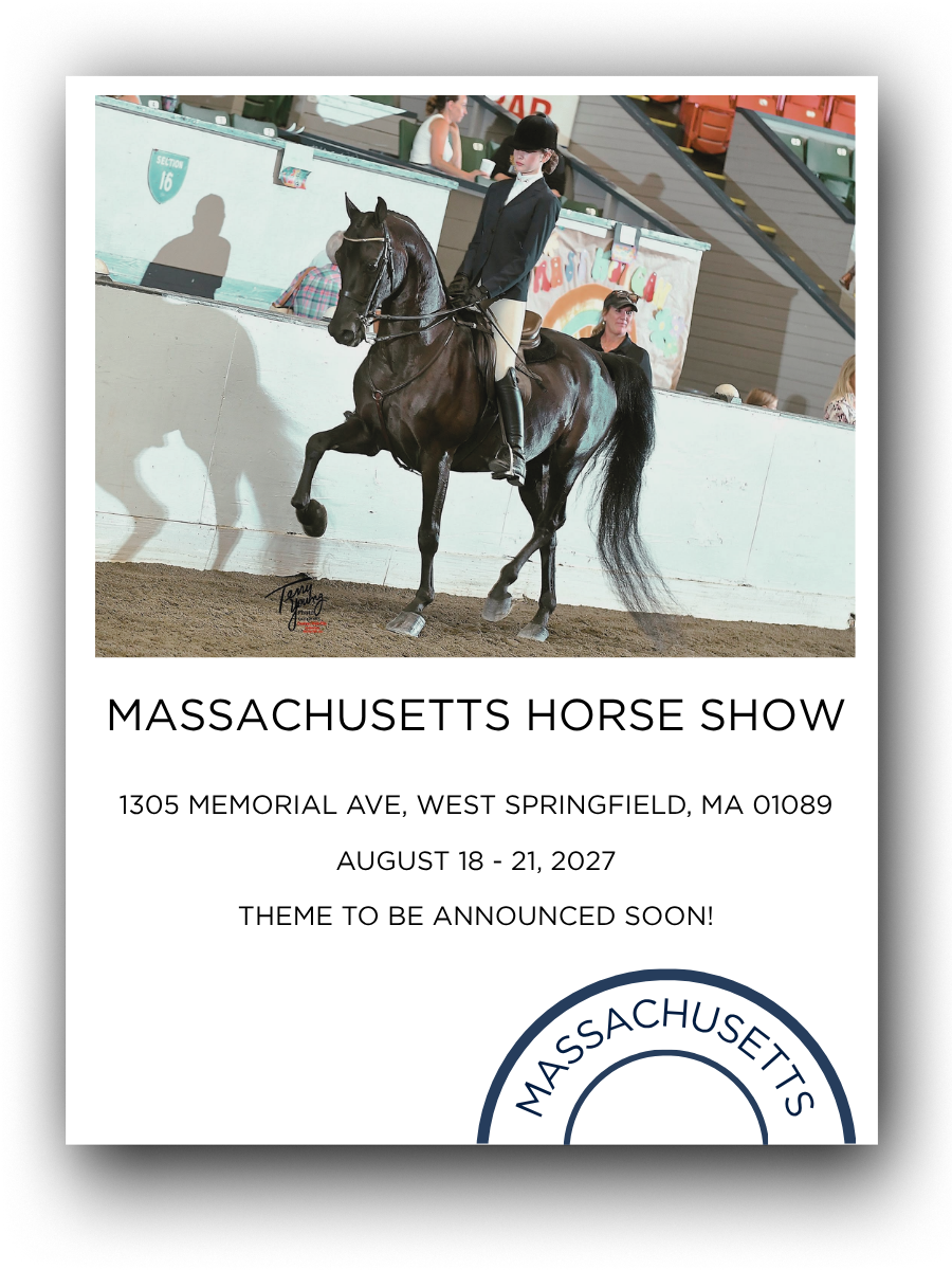 An equestrian rider in formal riding attire guiding a dark brown horse in an indoor arena during the Massachusetts Horse Show.