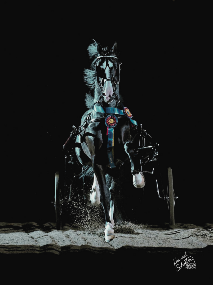 A black horse with a white mane running with a harness and ribbons in a dark setting