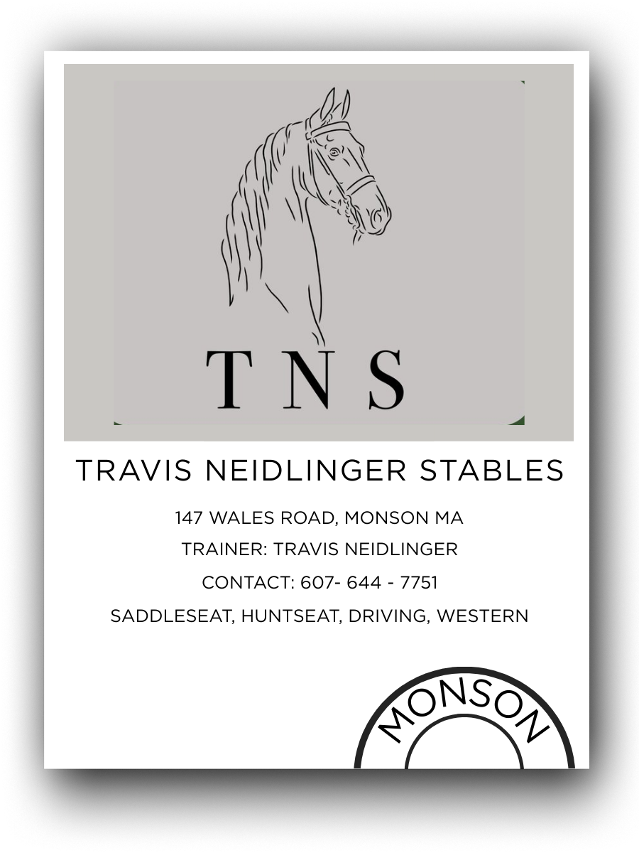 Business card for Travis Neidlinger Stables featuring a line drawing of a horse's head with the initials TNS beneath.