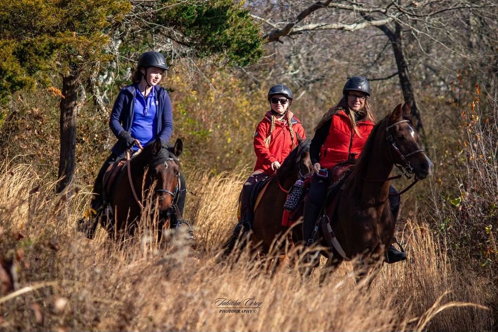 Three women riding horses through a grassy field with trees in the background on a clear day.