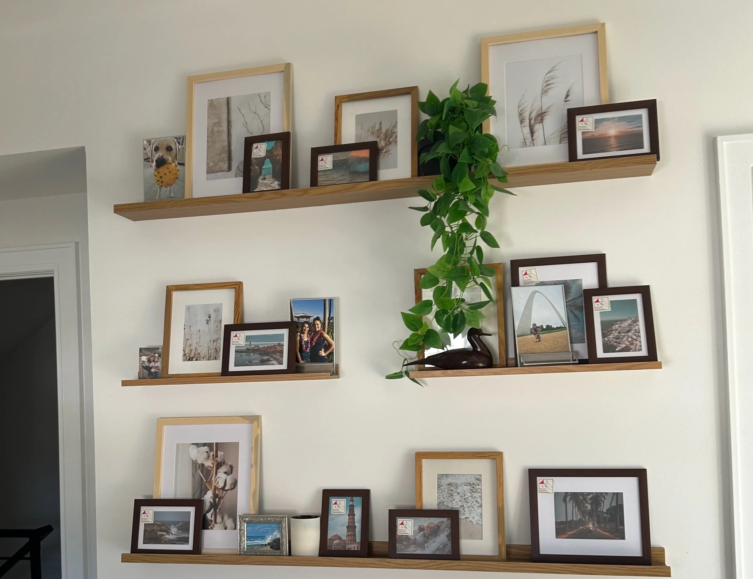 Shelves with photos.jpeg