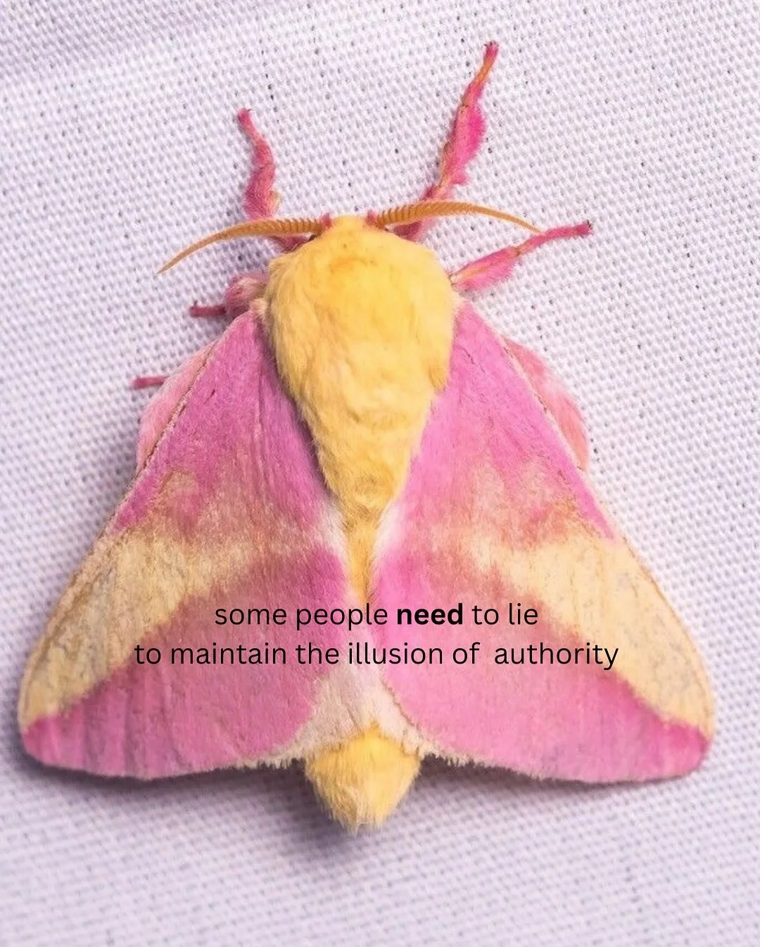 Discernment is a gift. 
Craftiness&hellip;is a tiring trade.