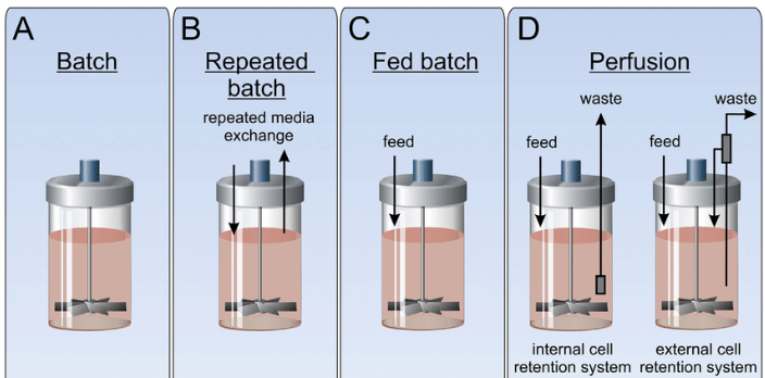 Bioreactor Modes of Operation
