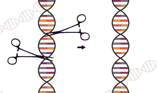 2020 Nobel Prize in Chemistry