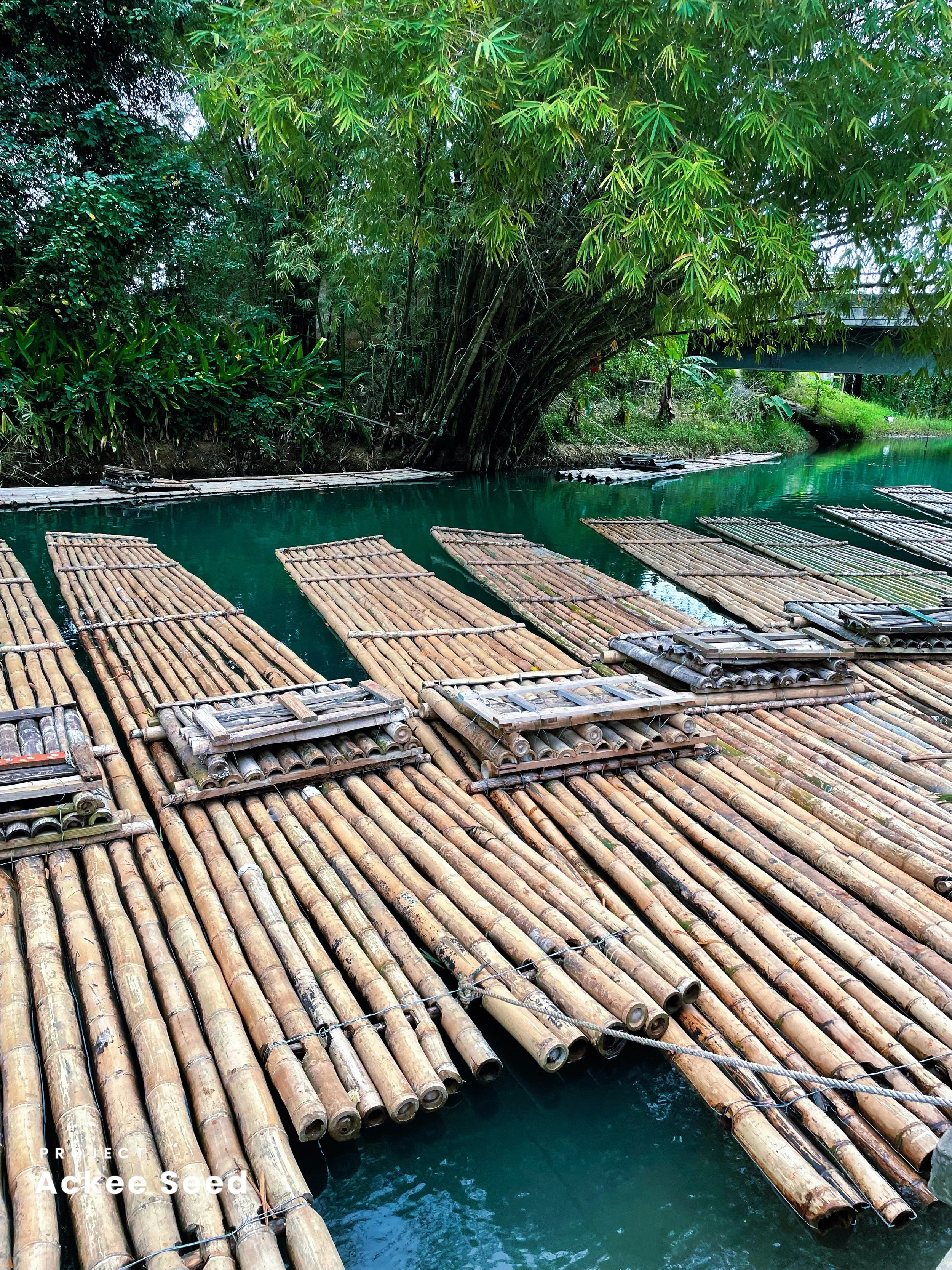 Ackee Seed Foundation Research &amp; Partnerships Trip to Jamaica