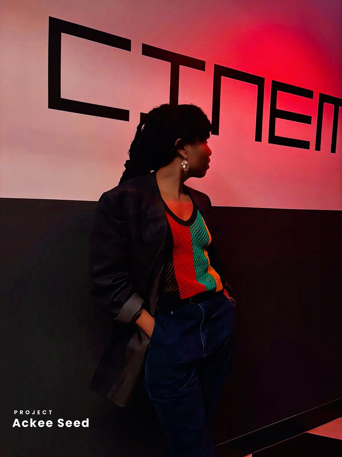 Honouring Jimmy Cliff-A Cultural Tribute Through Film Host Karla King : Caribbean Creatives. .JPEG