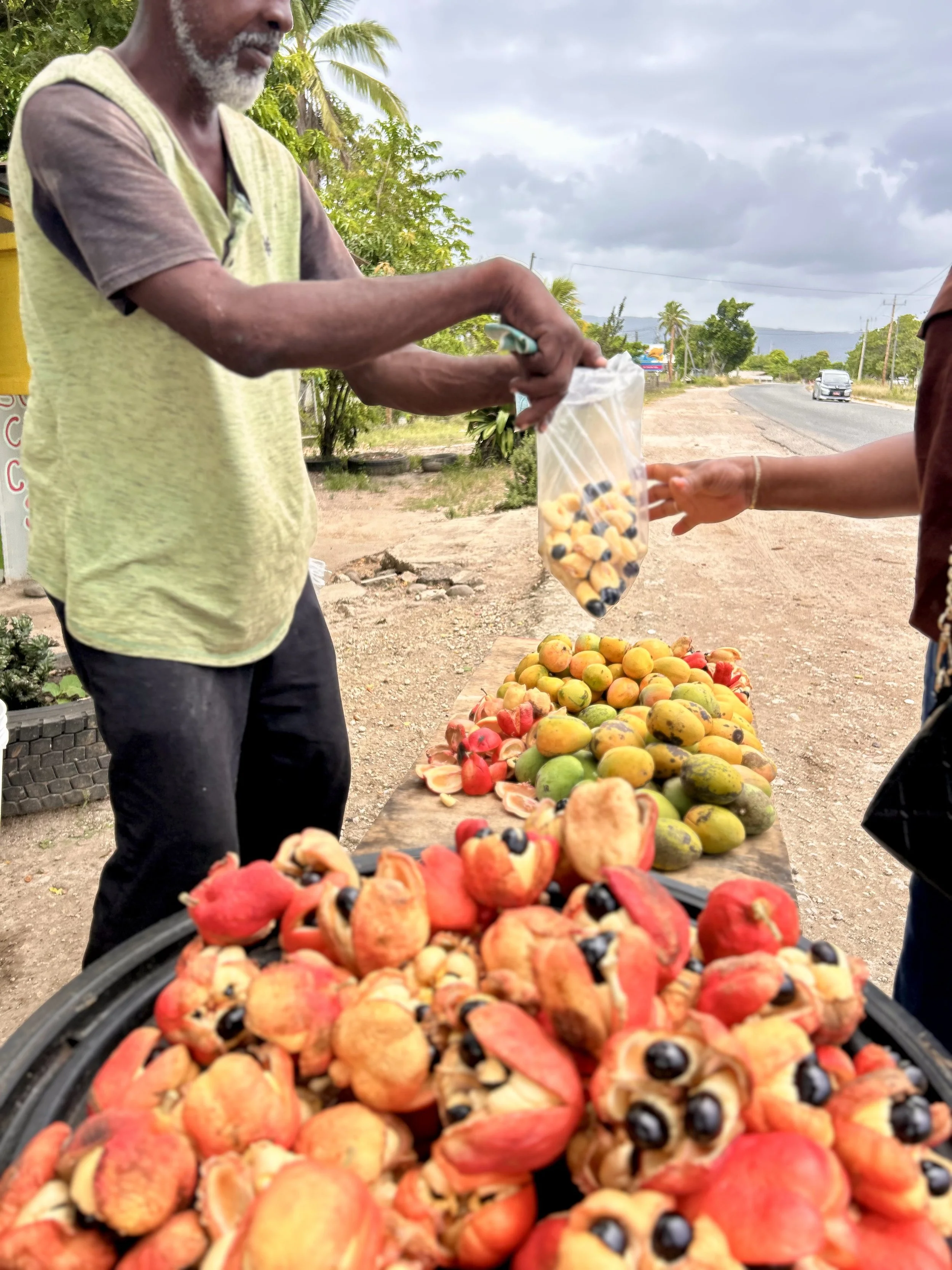 How Your Donations Are Being Used 
