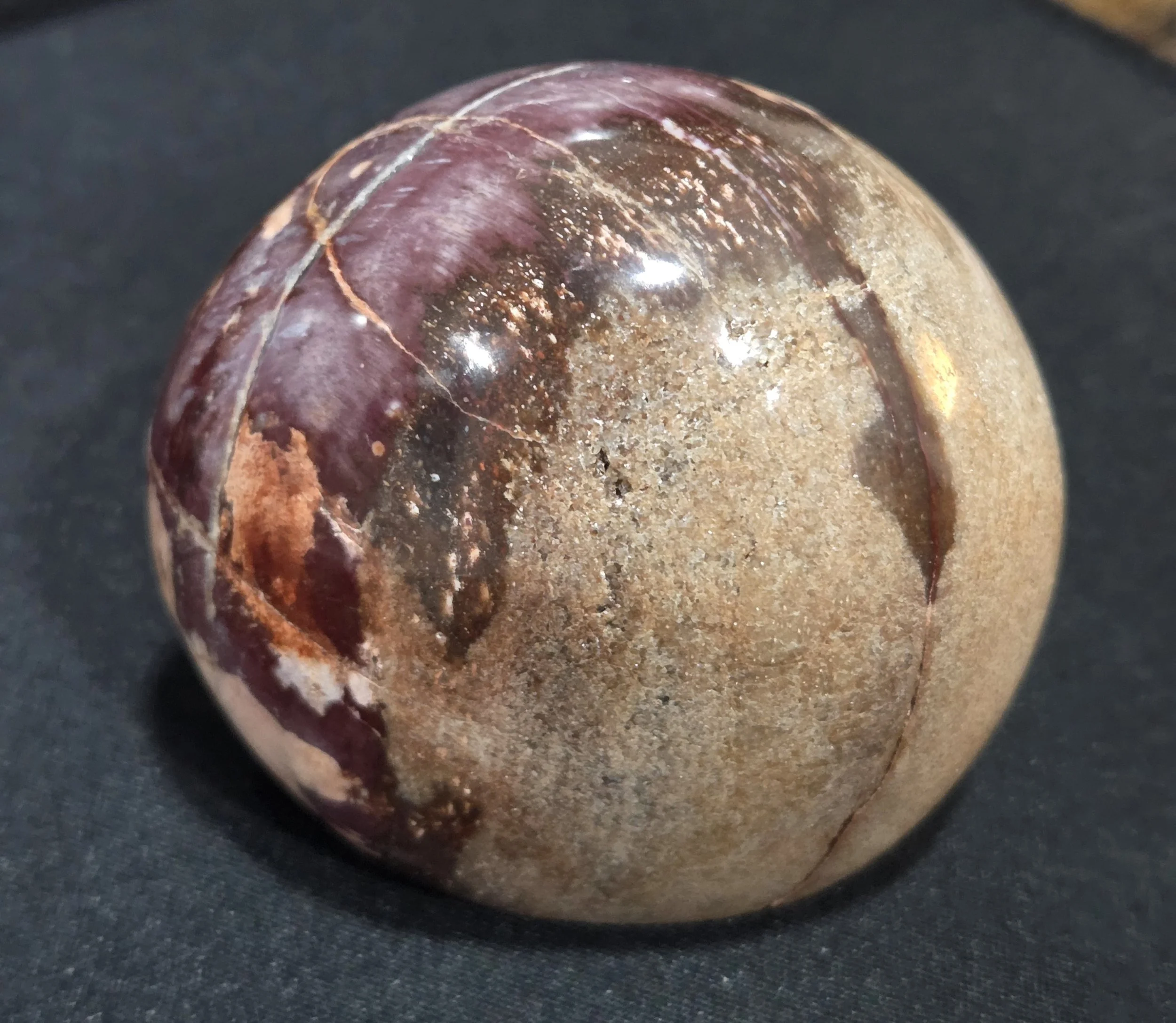 Petrified Wood Freeform DEW Flare | Hand-Polished Natural Gemstone | Root & Heart Chakra Grounding, Ancient Wisdom, Patience & Timeless Strength | Divine Exchange Within