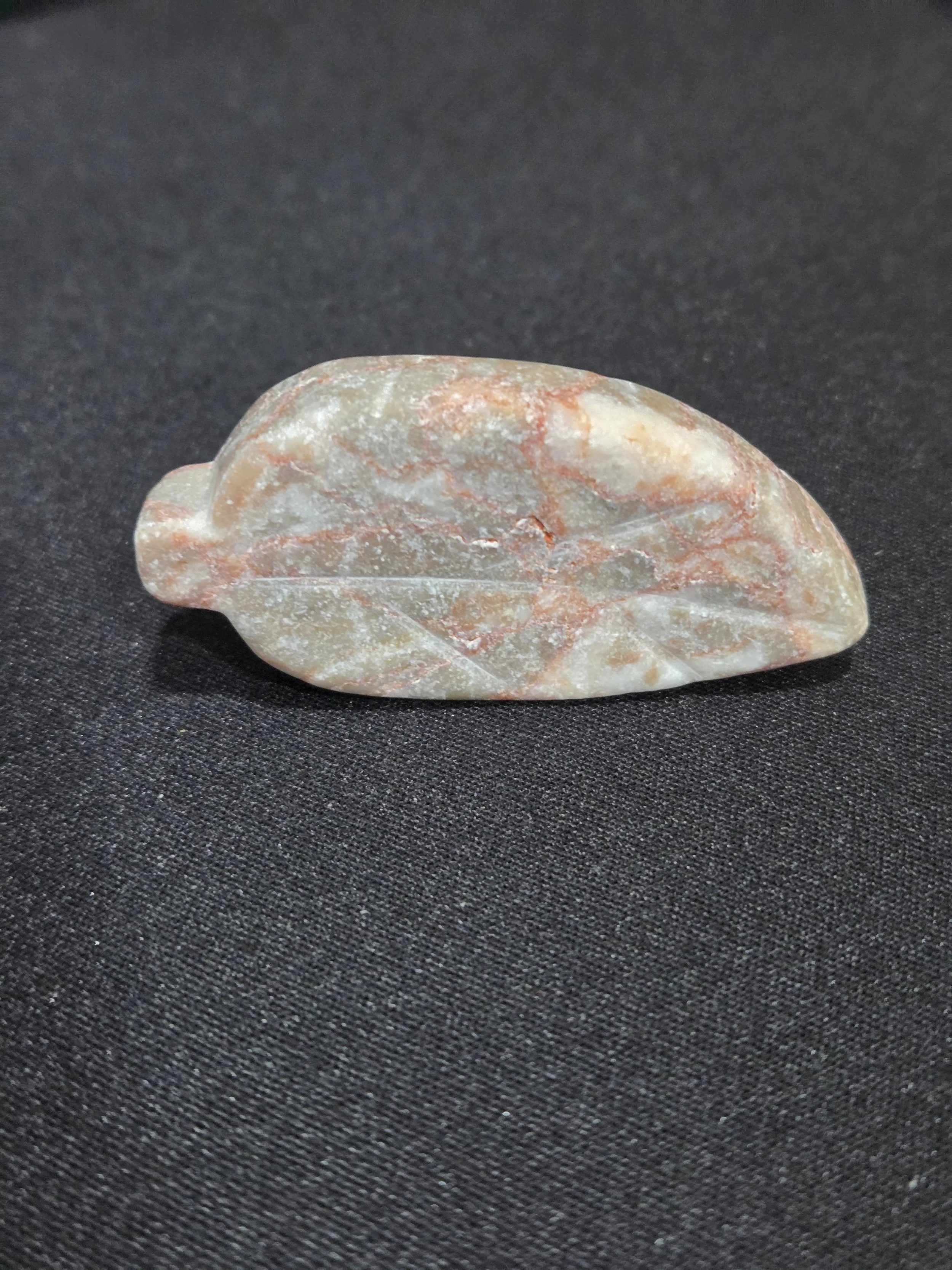 Coral Fossil Jade Leaf DEW Flare | Hand-Carved Natural Gemstone | Heart & Root Chakra Harmony, Ancient Wisdom, Gentle Growth & Emotional Resilience | Divine Exchange Within