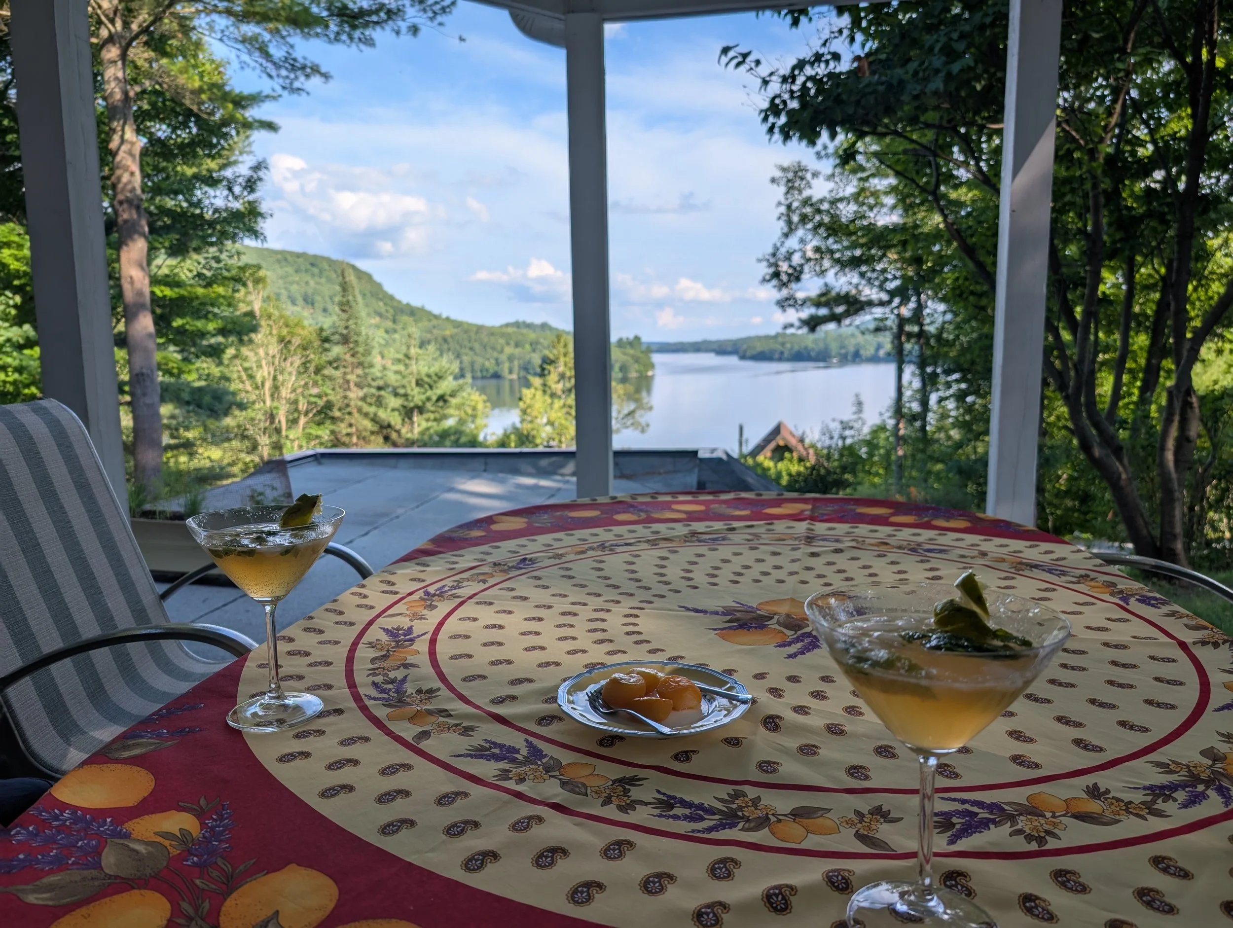 A table with a red and yellow patterned tablecloth, two martini glasses with drinks and olives, and a small dish of yellow fruit, set on a porch overlooking a lake surrounded by trees and hills under a partly cloudy sky.