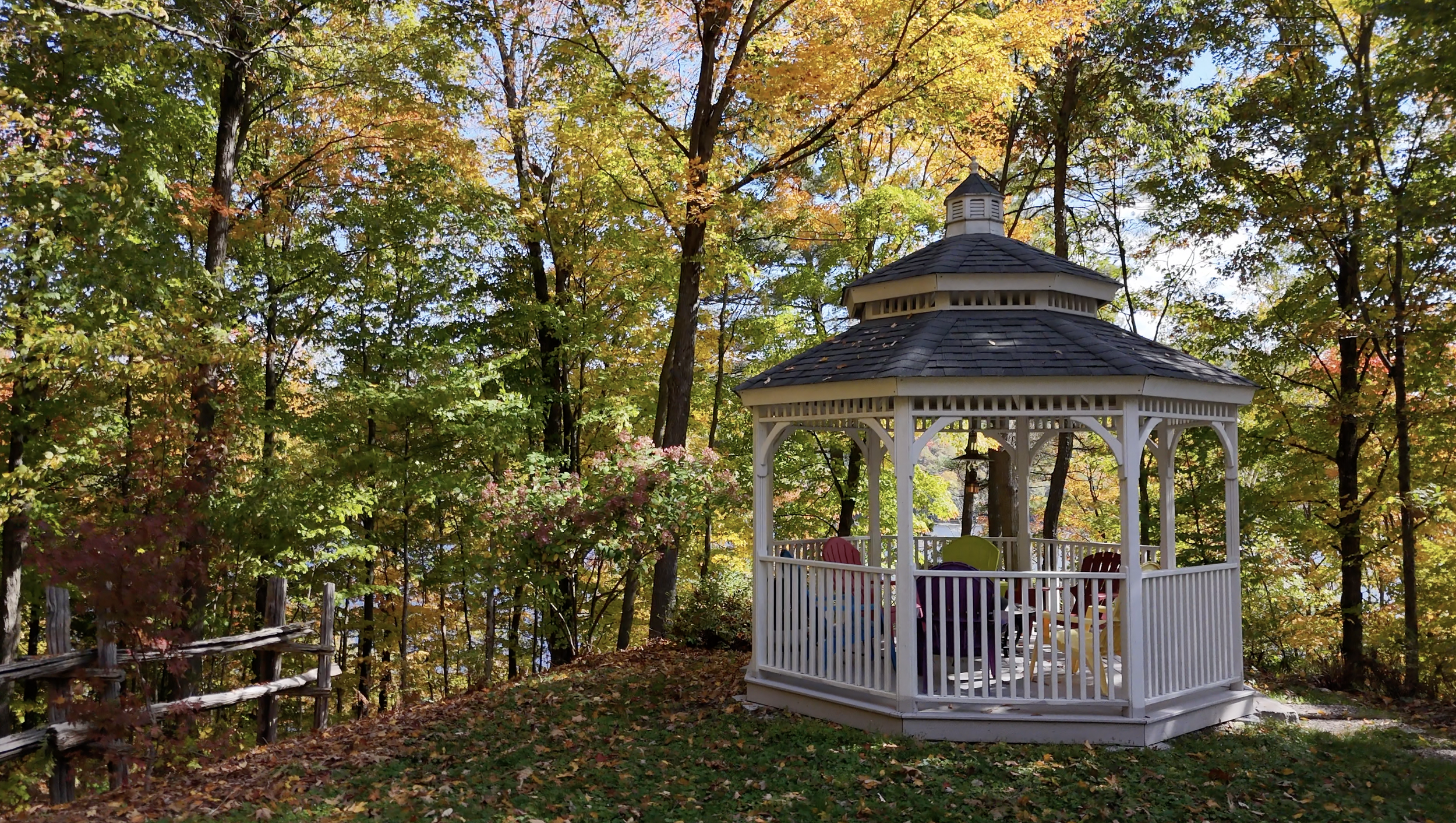 Screenshot 2026-03-15 at 10.49.59 AM.png