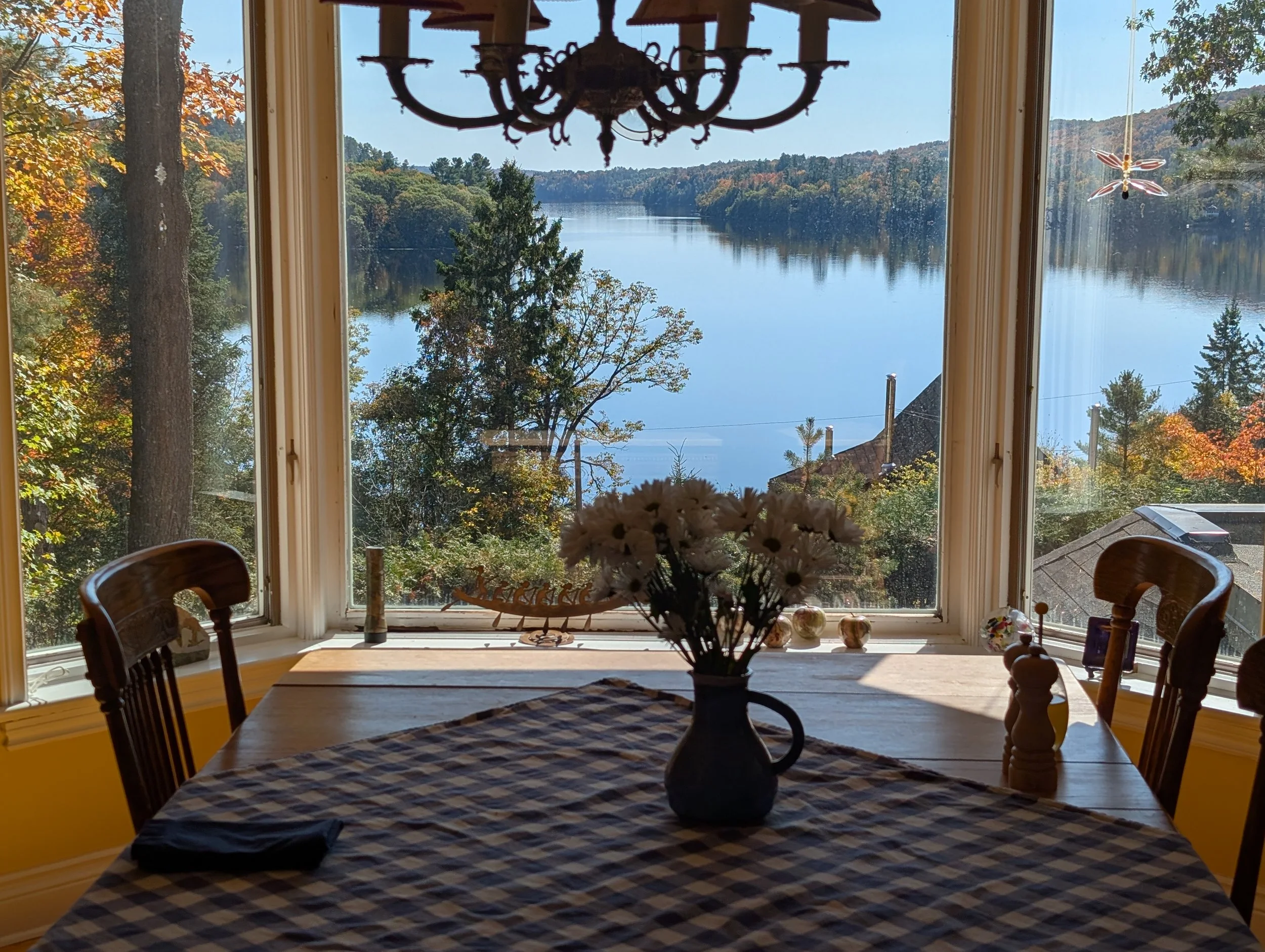 View from inside a dining room looking out a large window showing a lake, trees with autumn foliage, and a house roof. The room has a wooden dining table with a checkered tablecloth and a vase with white flowers, with chairs around it and various dec
