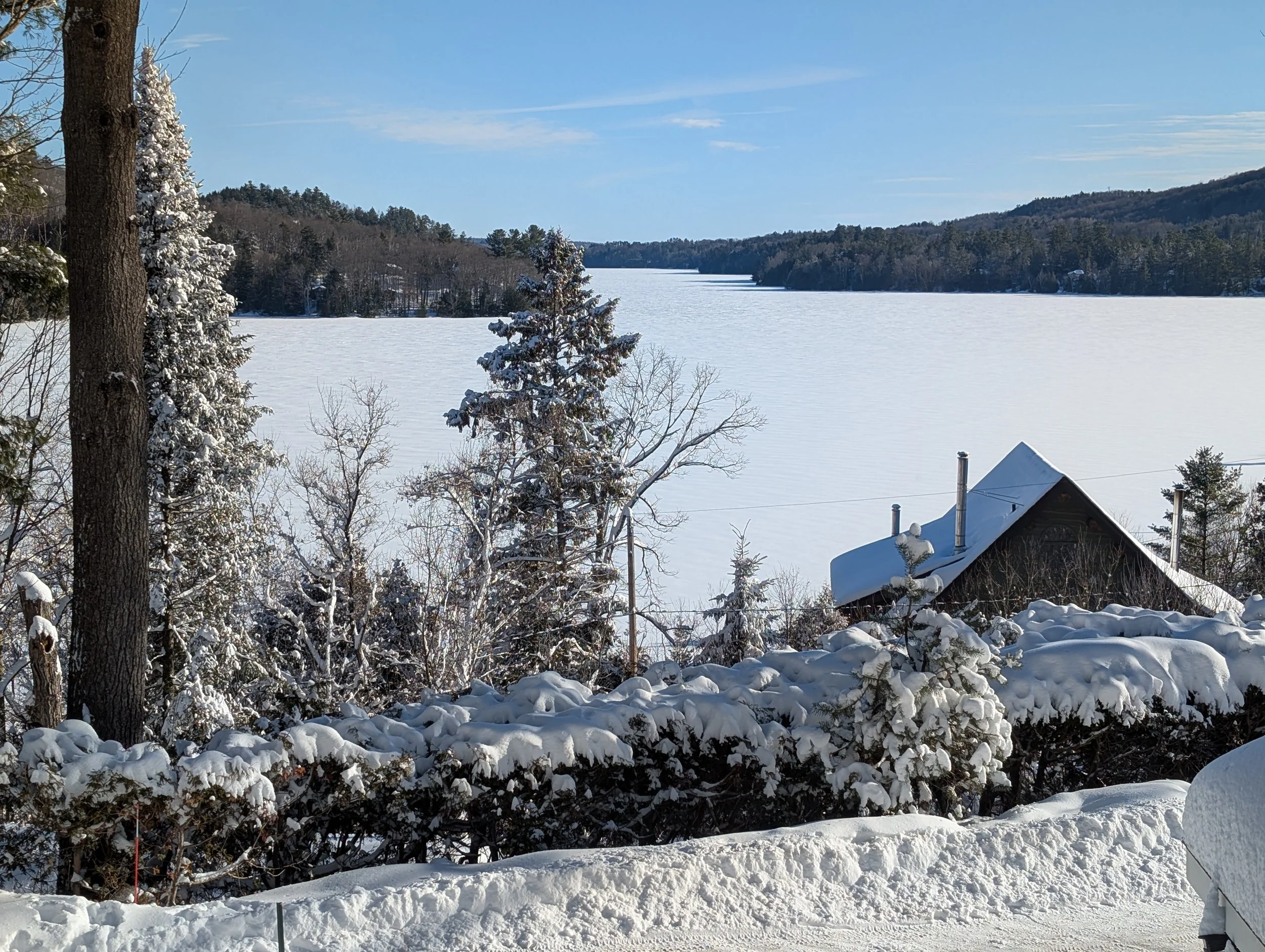 Snow-covered trees and bushes in a landscape with a house with a snow-covered roof near a frozen lake, and distant forested hills.