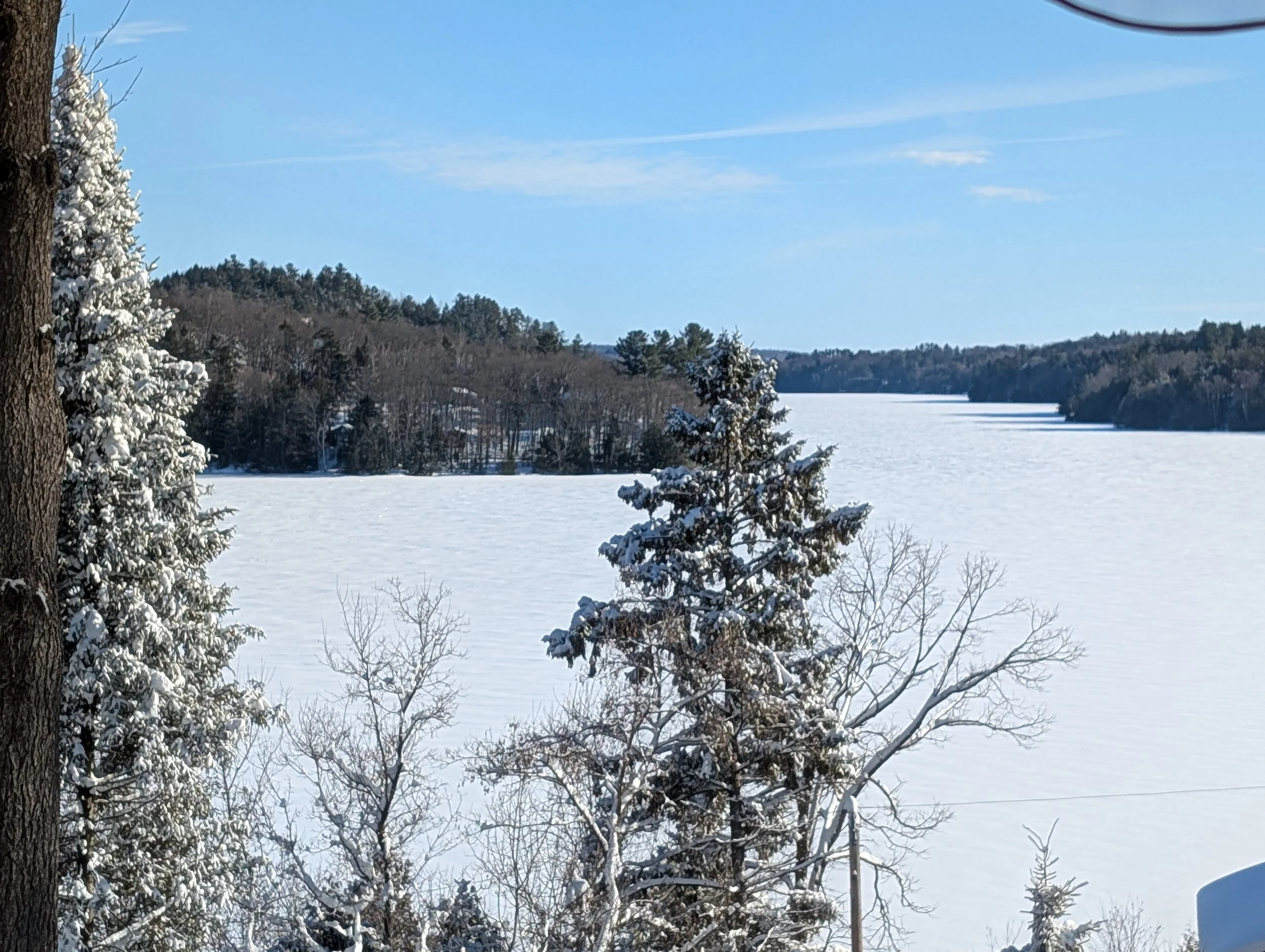 Snow-covered trees and a frozen lake under a blue sky with some clouds.
