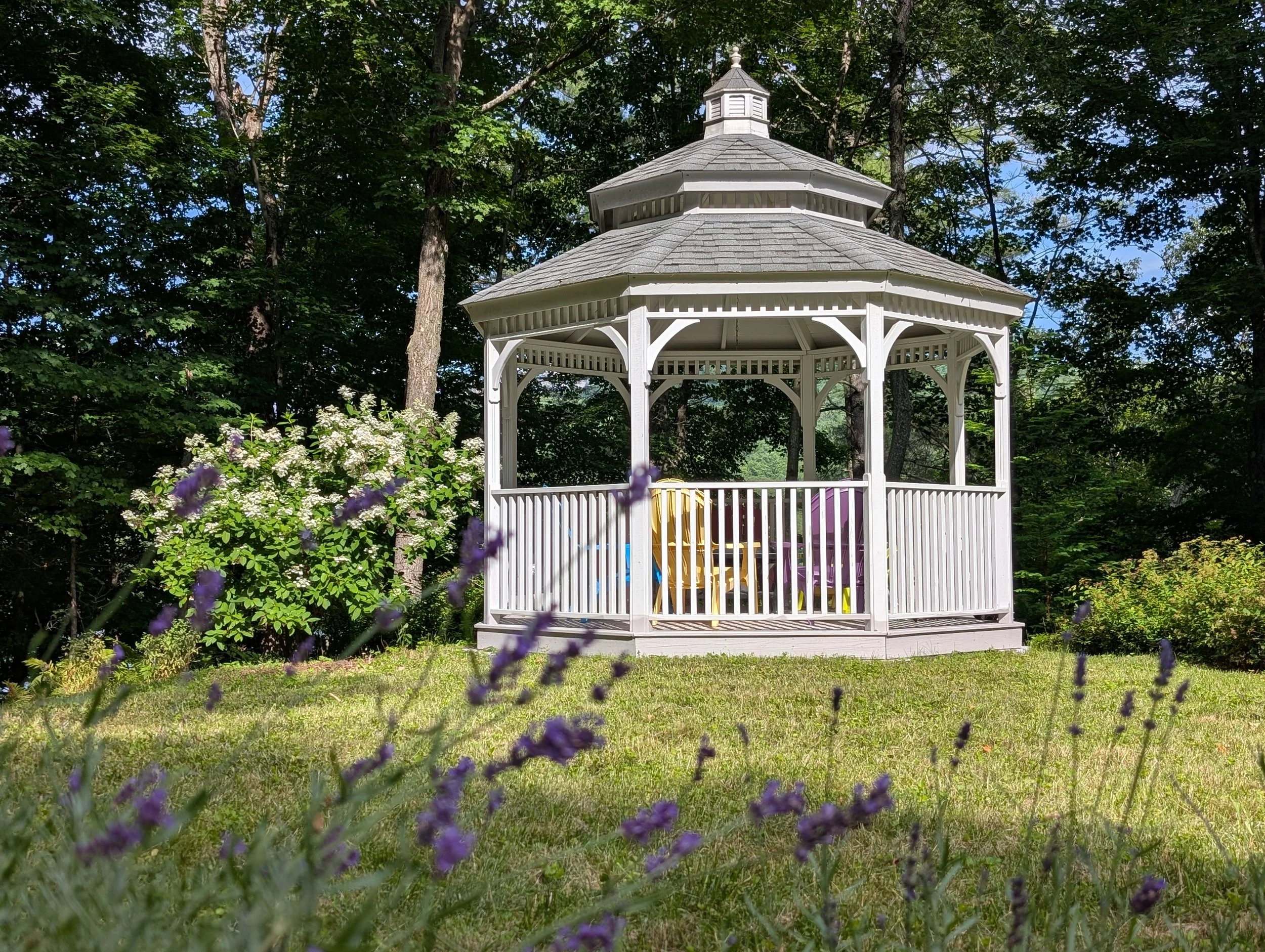 White gazebo in a green garden with trees and purple flowers in the foreground.