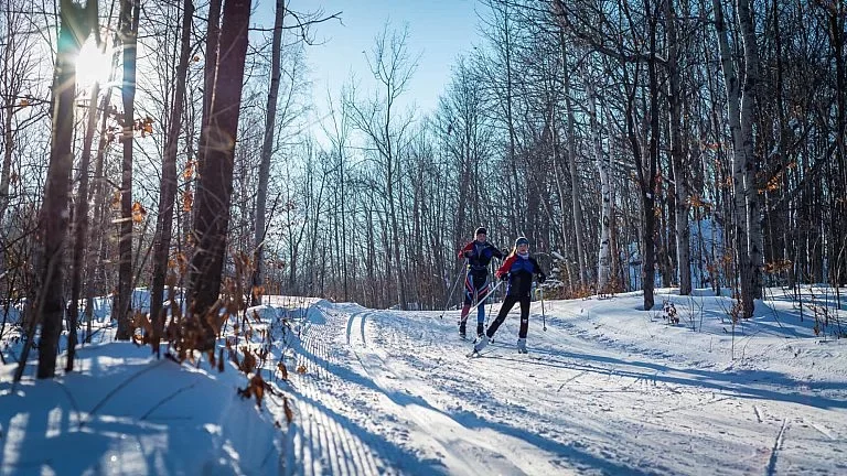 Two people cross-country skiing on a snowy trail in a forest during daytime with the sun shining through the trees.