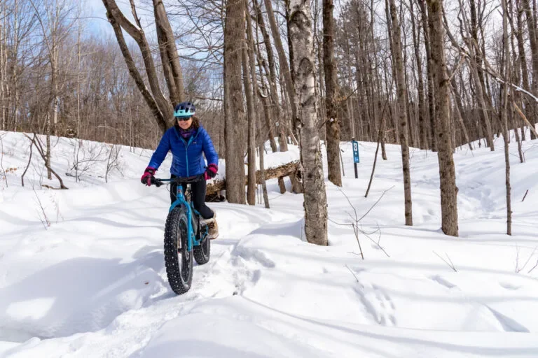 Person riding a fat-tire bike through a snowy forest trail, wearing a blue jacket, helmet, and gloves.