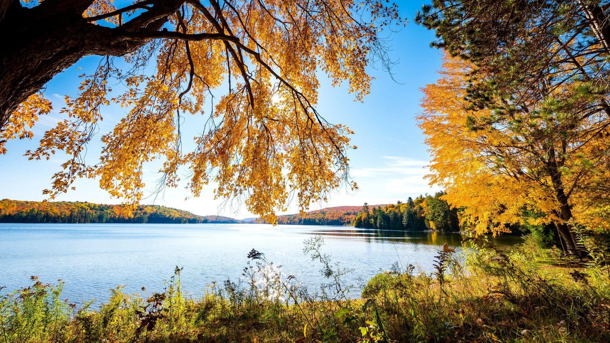 A scenic view of a lake surrounded by trees with yellow and orange autumn foliage, under a clear blue sky.