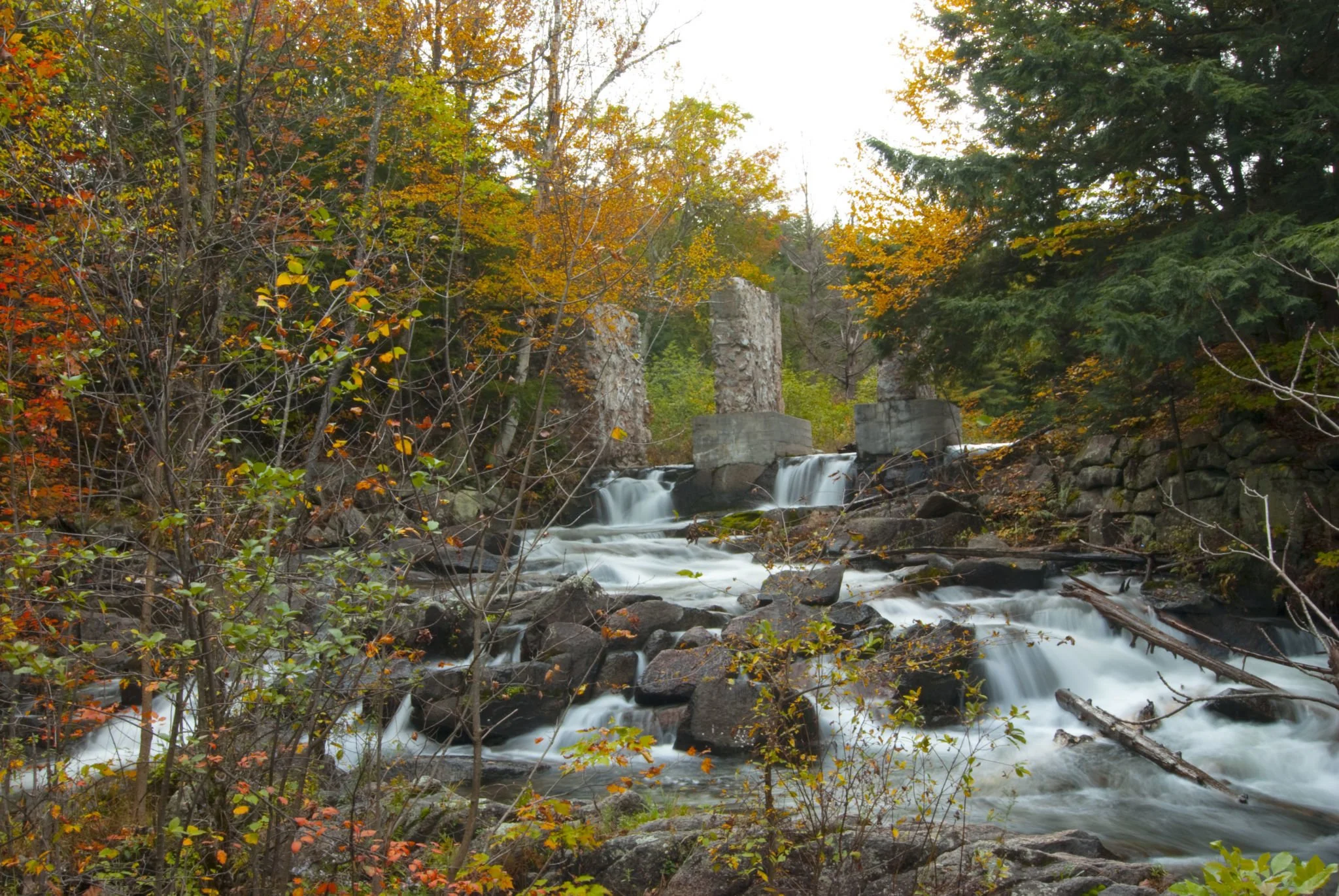 A stream flowing over rocks in a forest during fall, with trees showing orange, yellow, and green leaves.