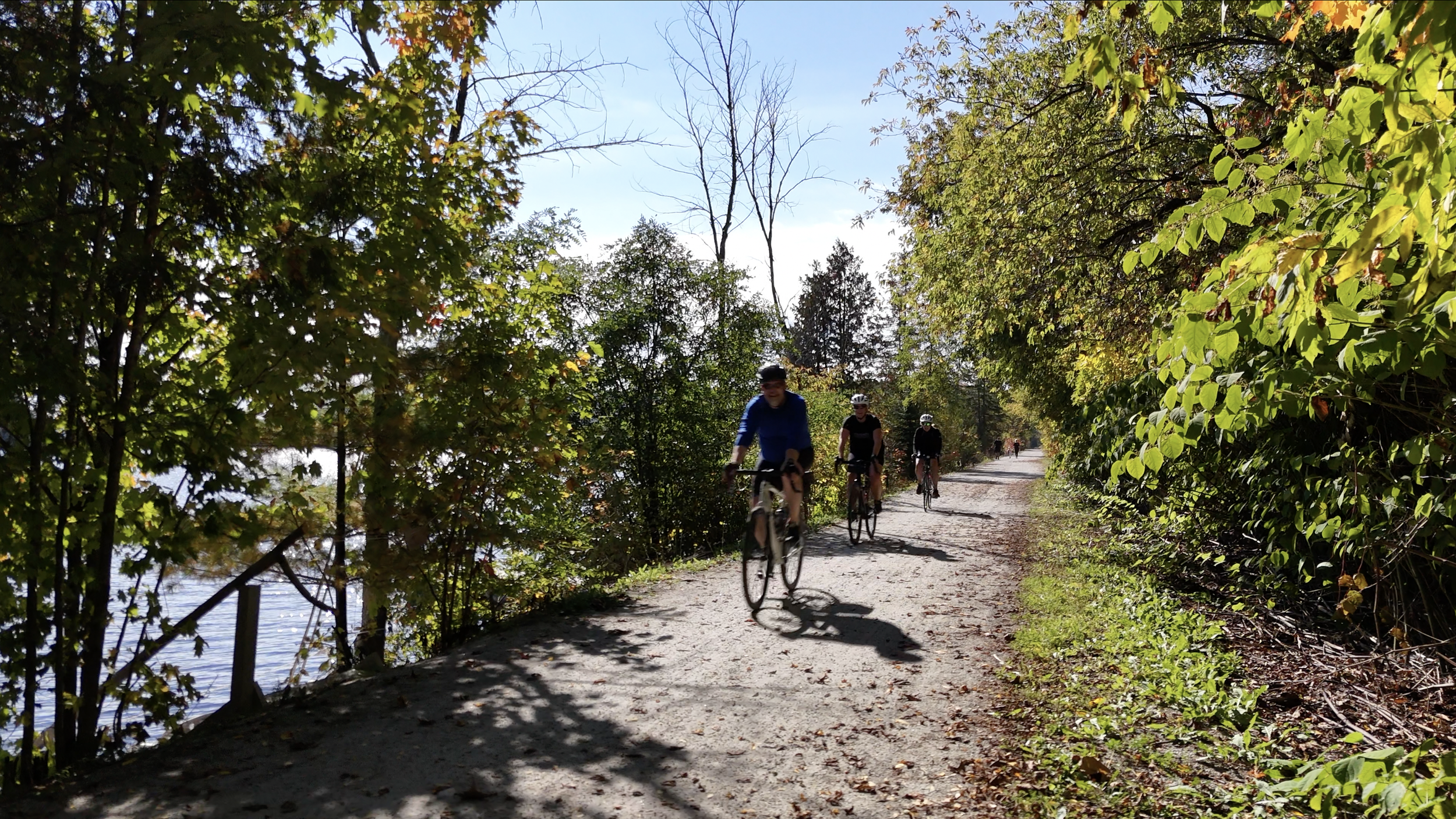 Screenshot 2026-03-15 at 11.41.50 AM.png