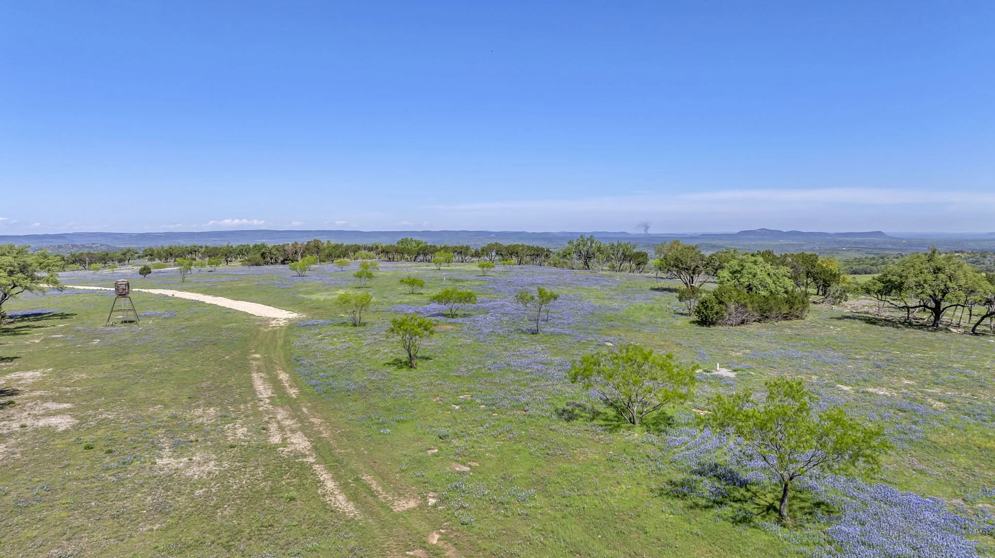 A landscape of a grassy field with scattered trees and patches of bluebonnets, a dirt path, and a watchtower to the left, with mountains in the distance under a clear blue sky.