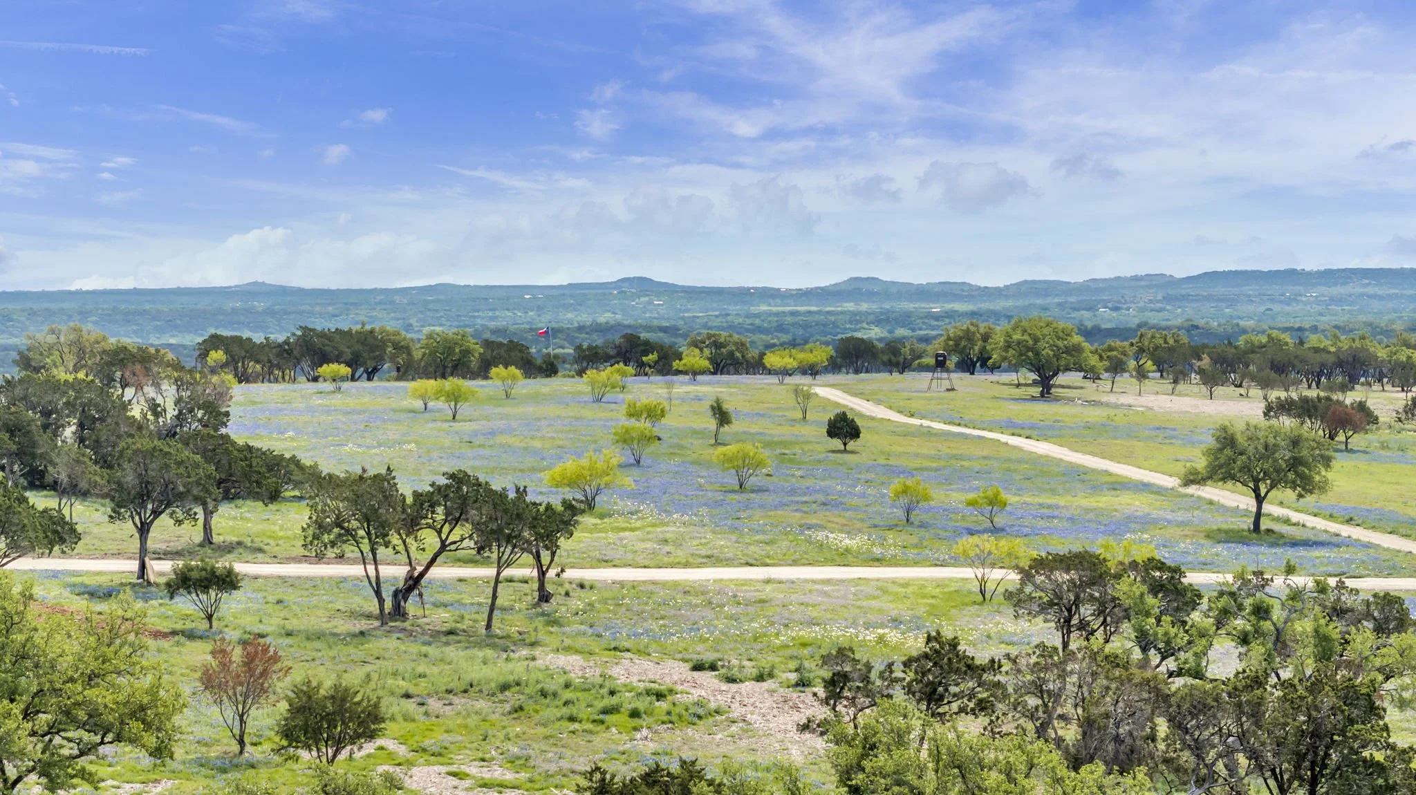 A wide view of a landscape with green trees, a dirt pathway, and a field of bluebonnets in bloom, with hills in the background under a partly cloudy sky.